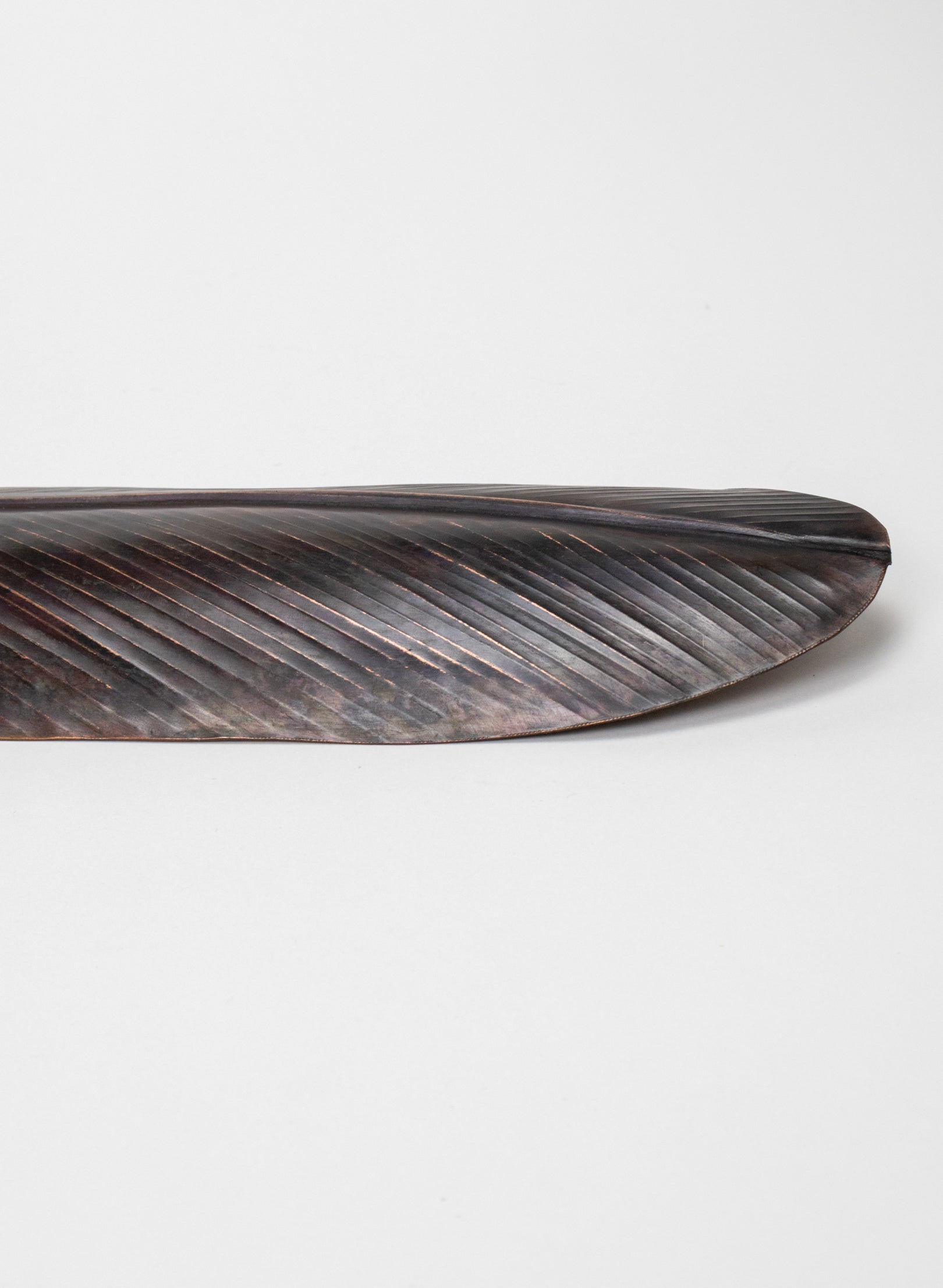 Tūī Feather Copper 475mm