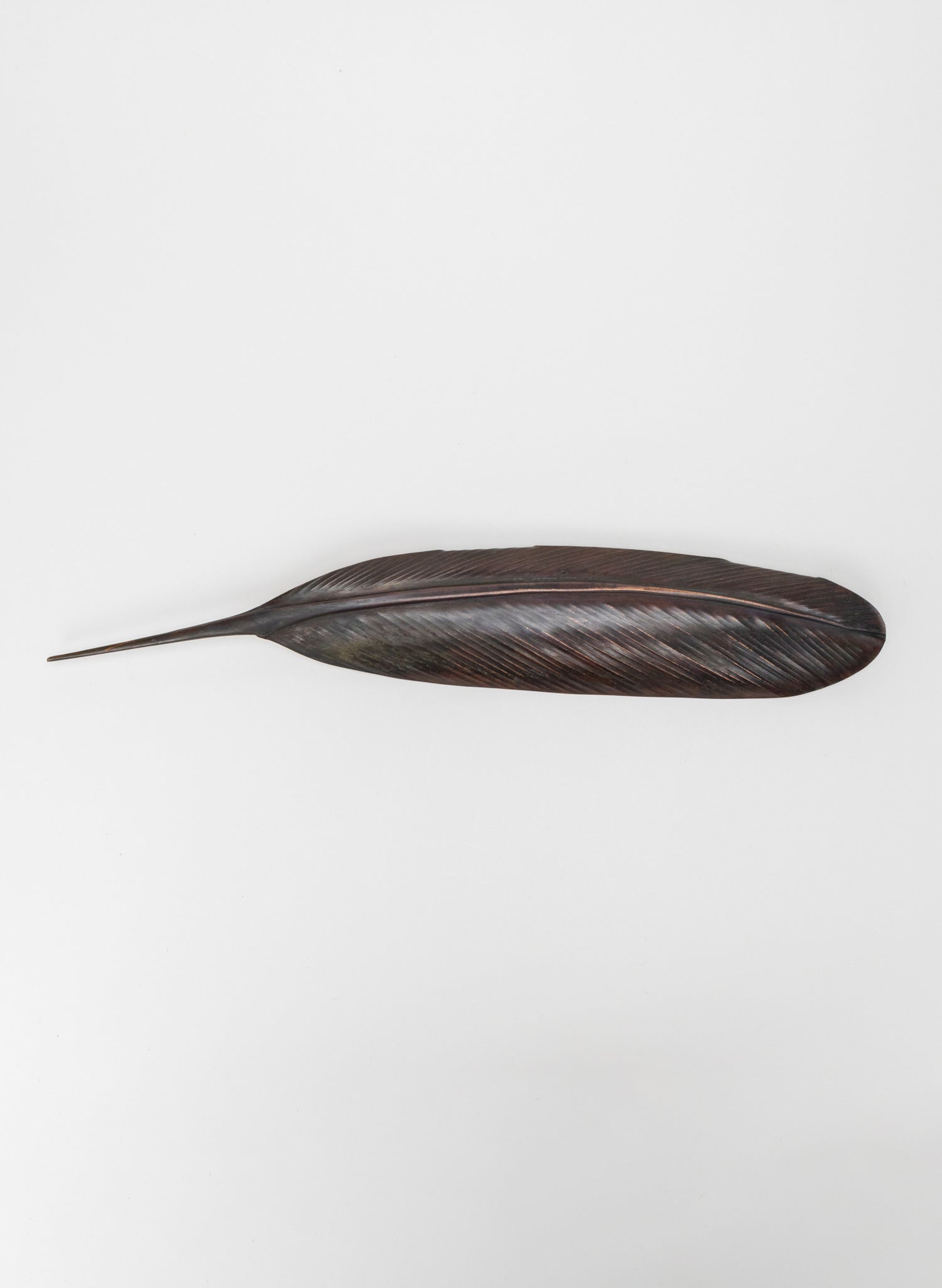 Tūī Feather Copper 475mm