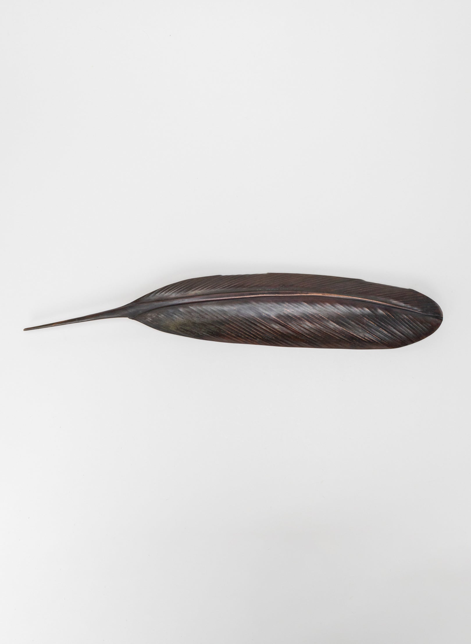 Tūī Feather Copper 475mm