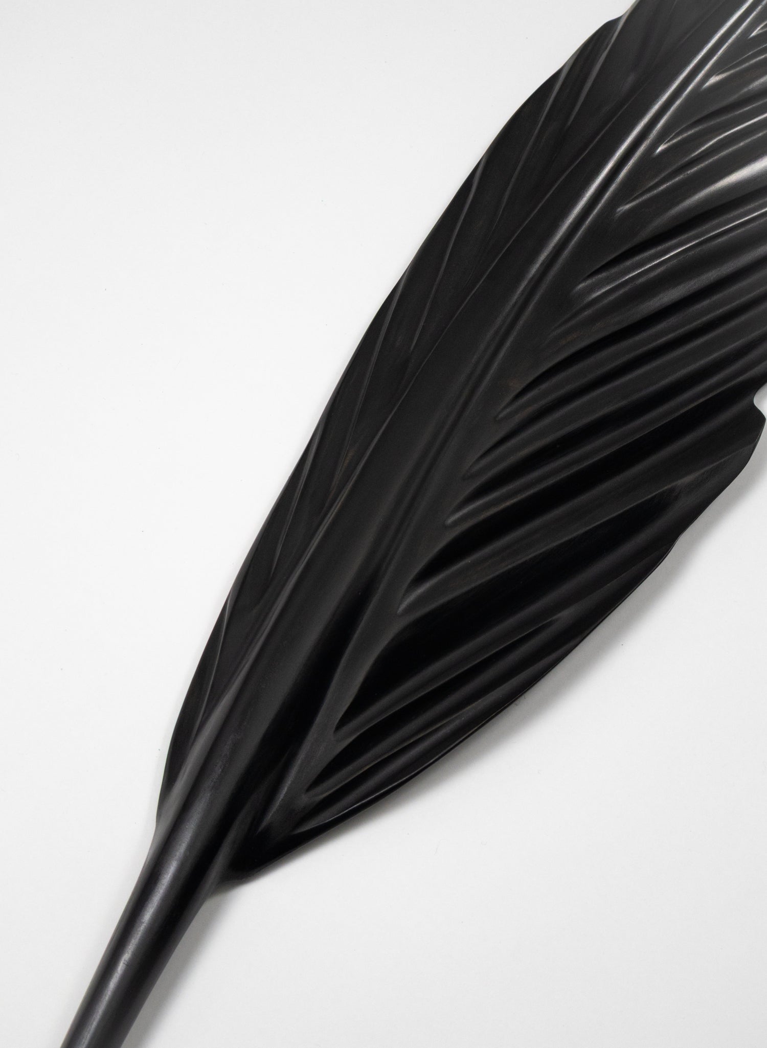 Tūī Feather Swamp Kauri 850mm