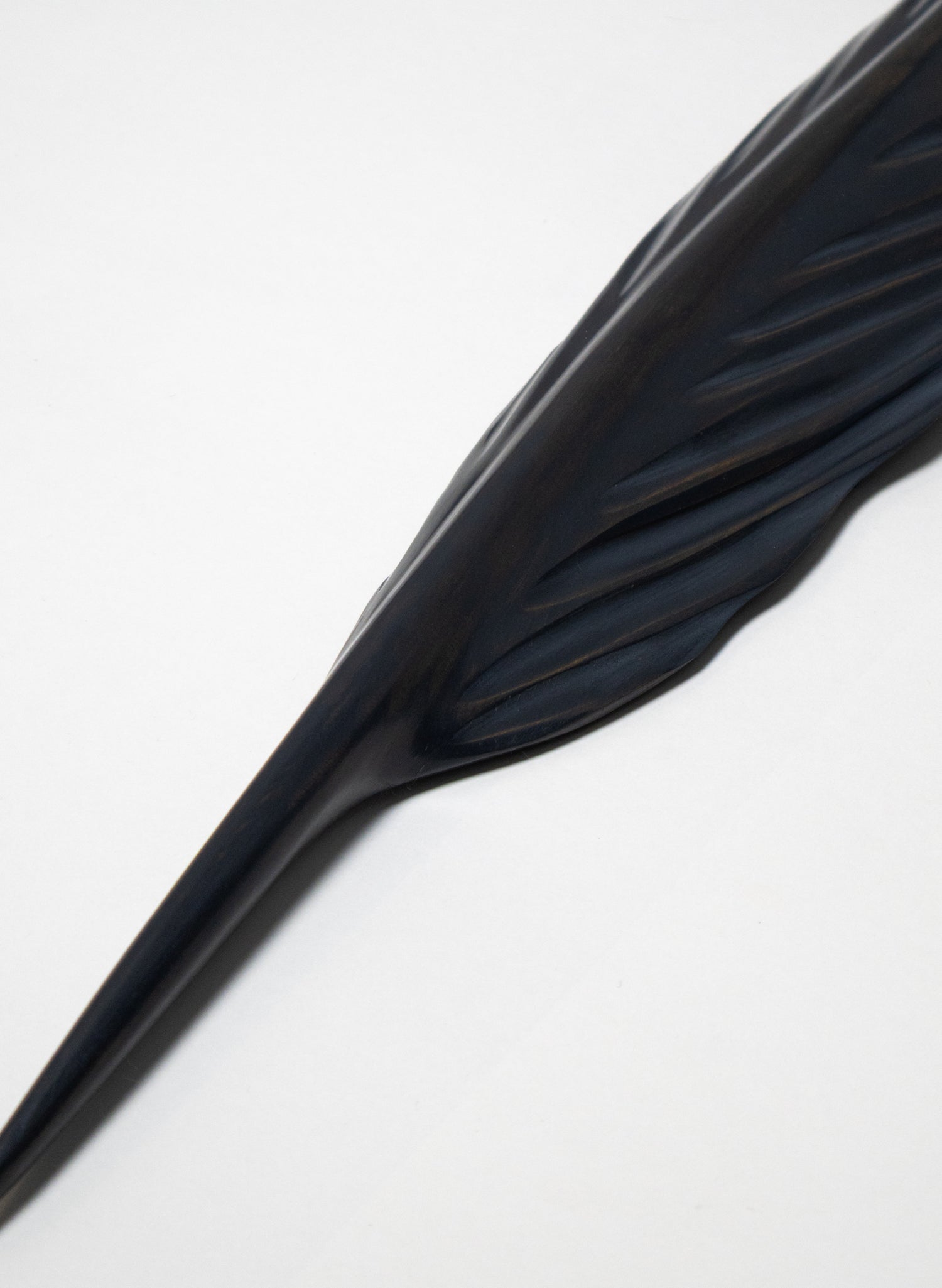 Kereru Feather Swamp Kauri 670mm