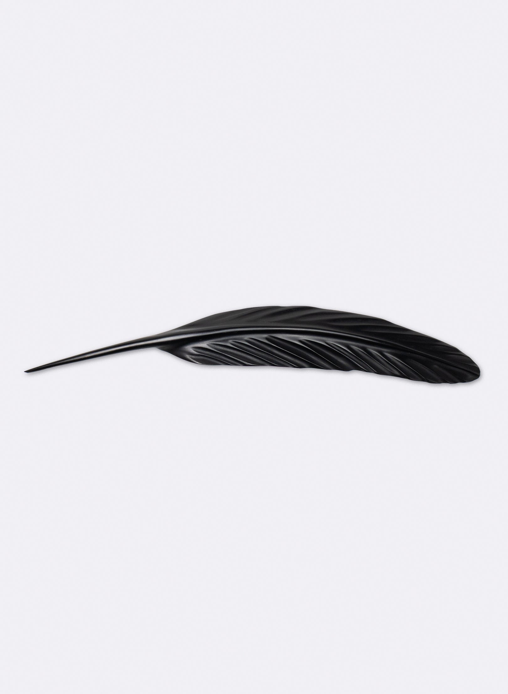 Tūī Feather Swamp Kauri 625mm