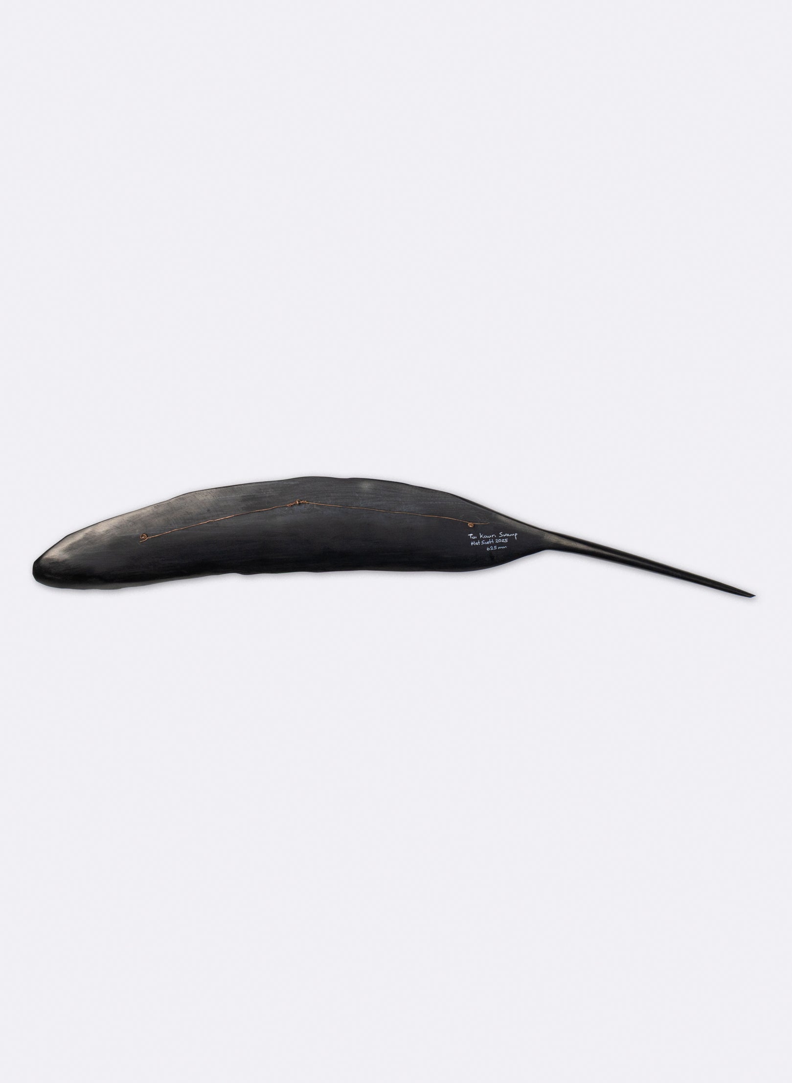 Tūī Feather Swamp Kauri 625mm
