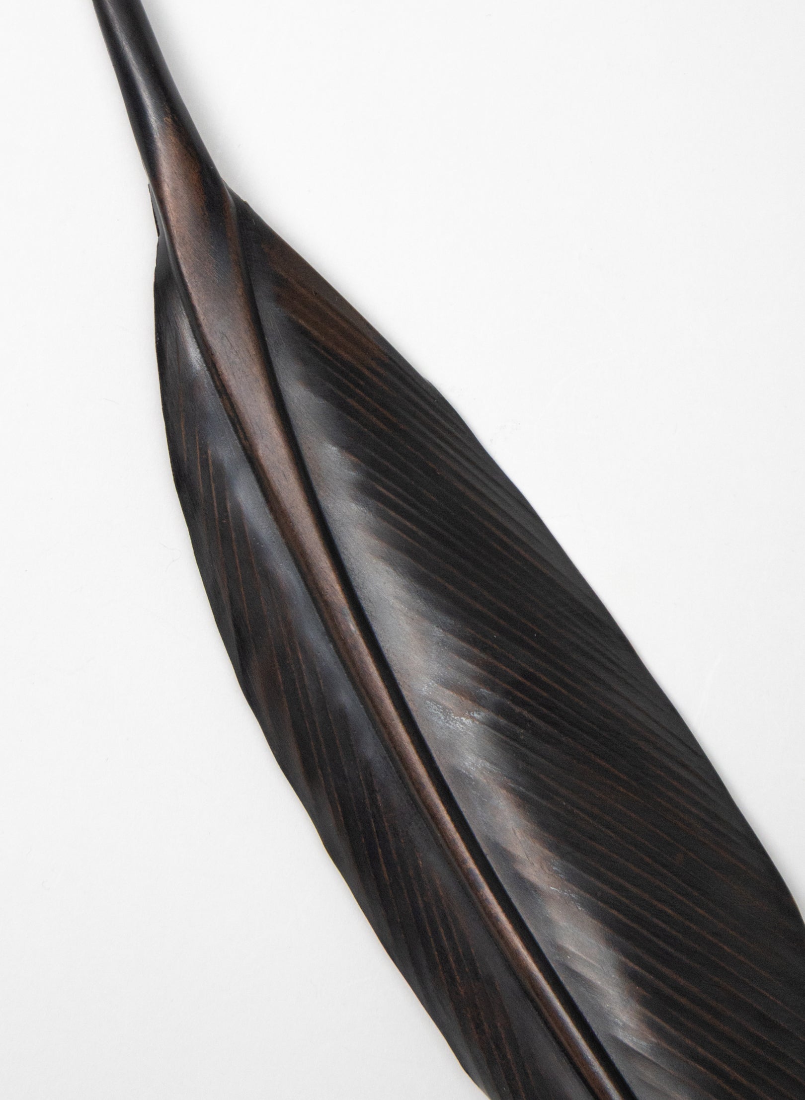 Tui Copper Feather 370mm