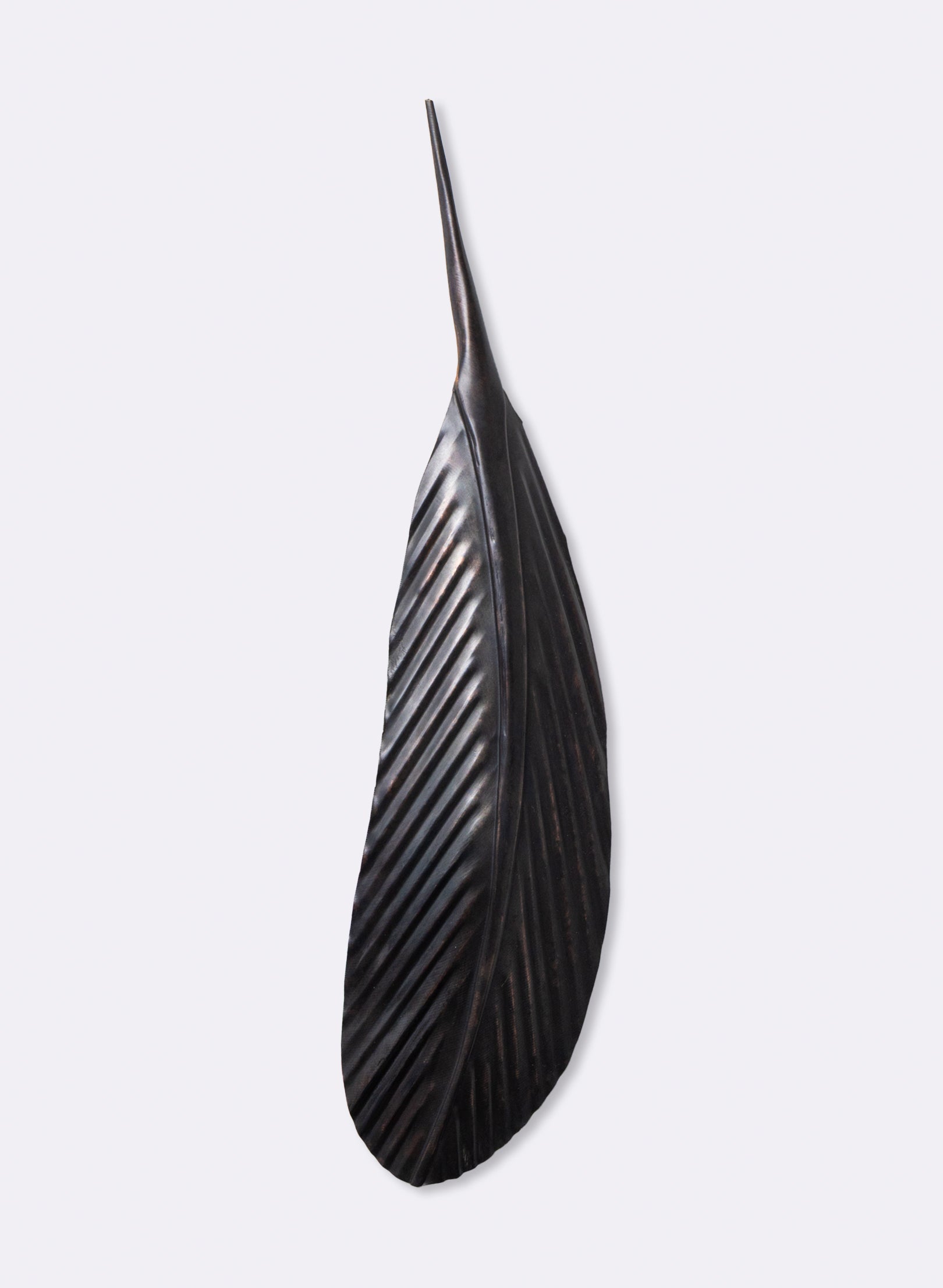 Tui Copper Feather 440mm