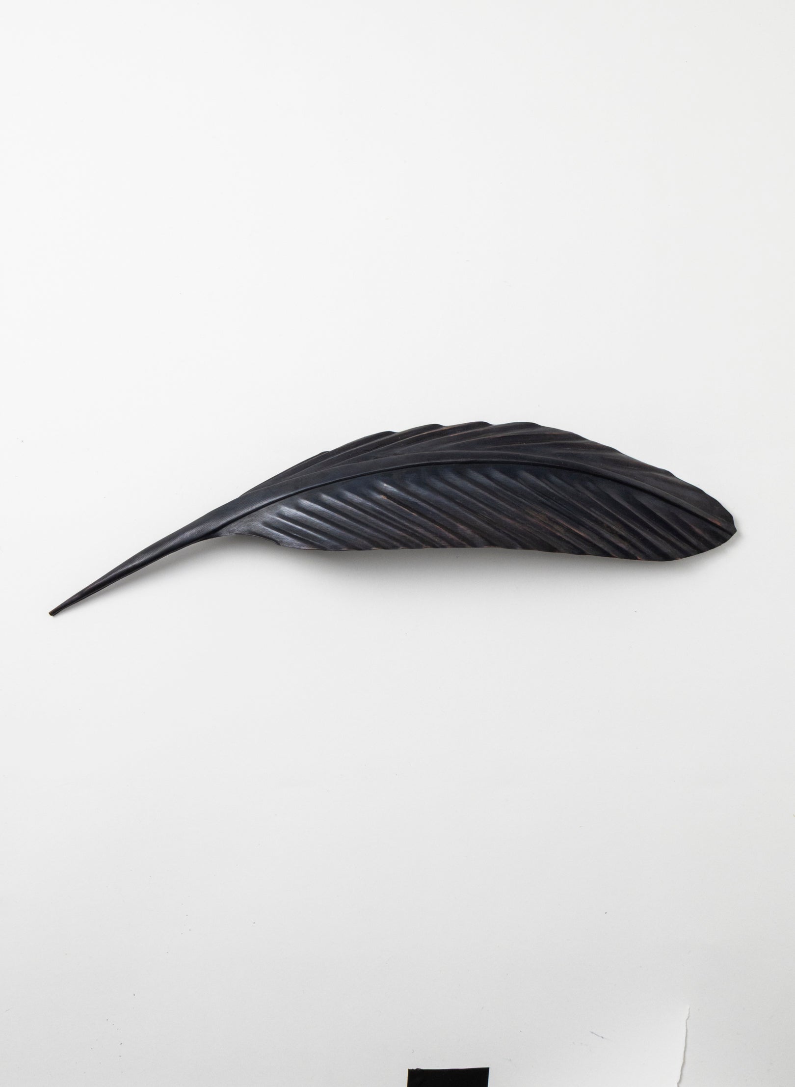 Tui Copper Feather 405mm