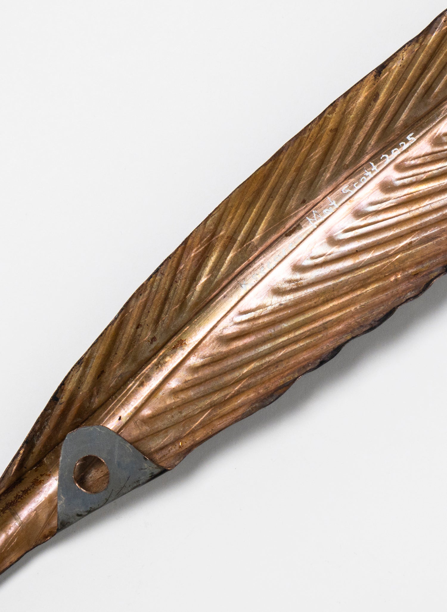 Kārearea Feather Copper 615mm