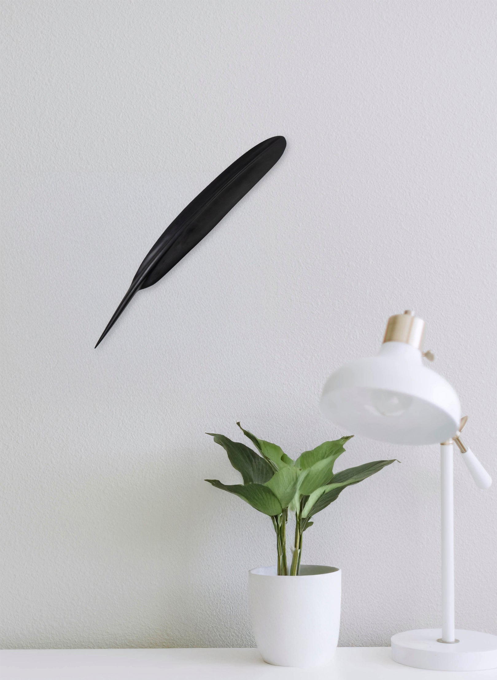 Tūī Feather Swamp Kauri 538mm