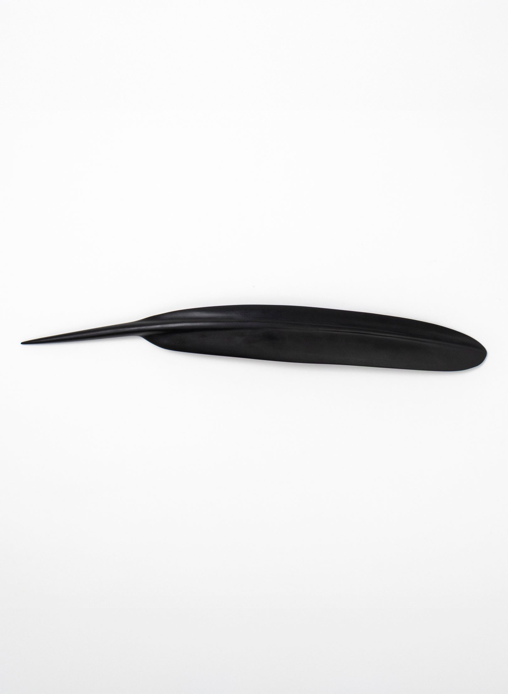 Tūī Feather Swamp Kauri 538mm