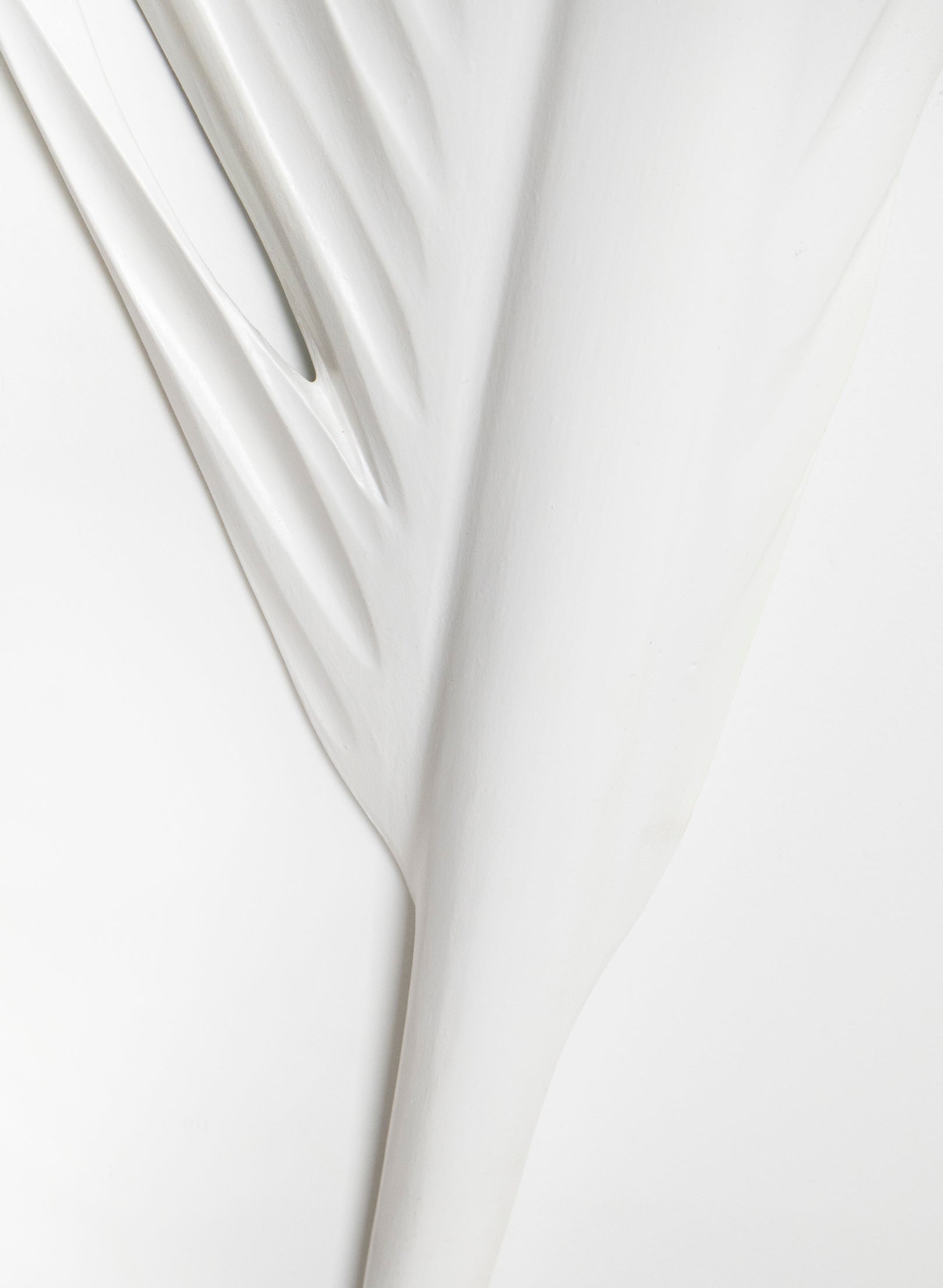 Kōtuku Swamp Kauri Feather 1600mm