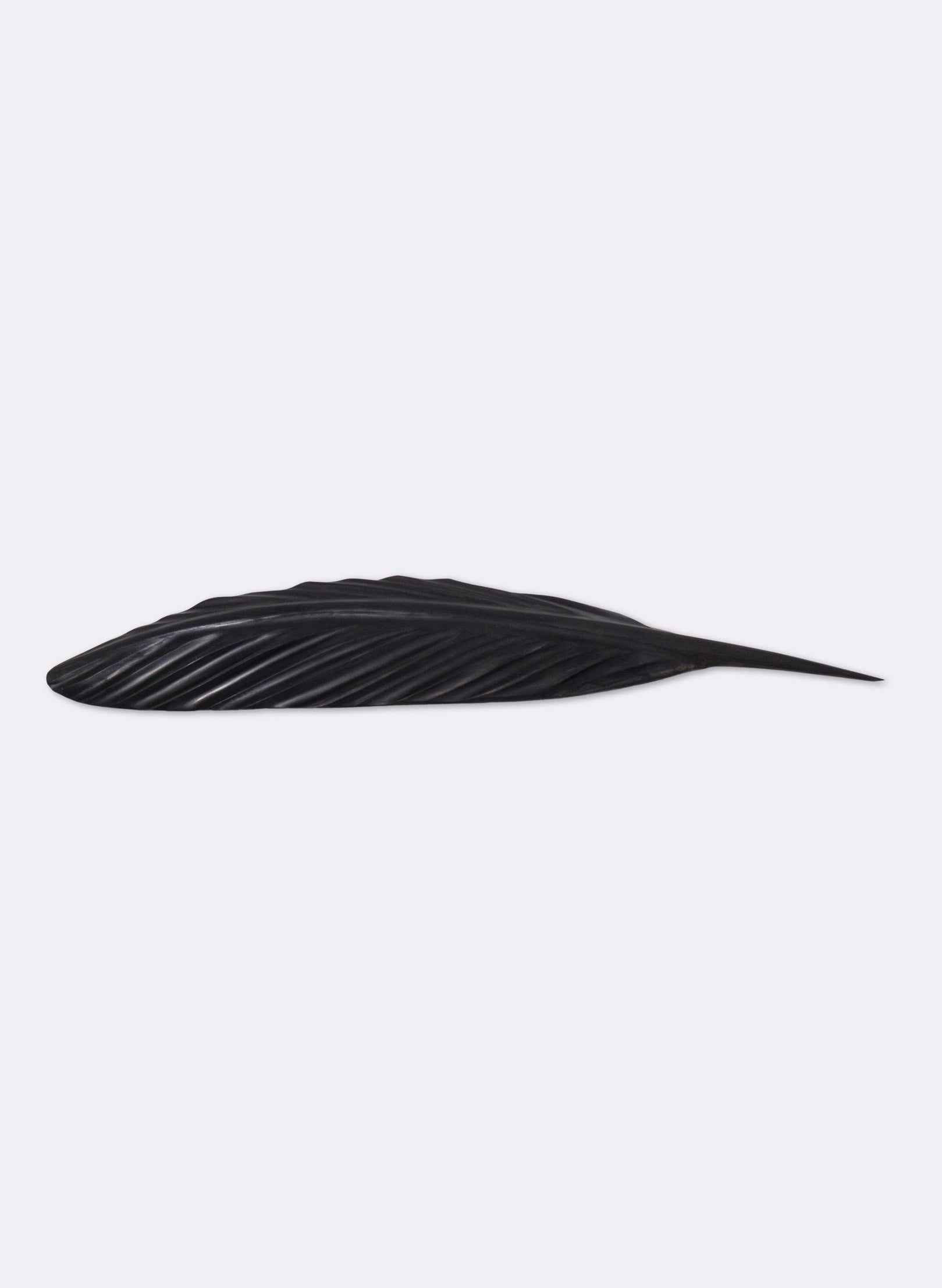 Tūī Swamp Kauri Feather 630mm