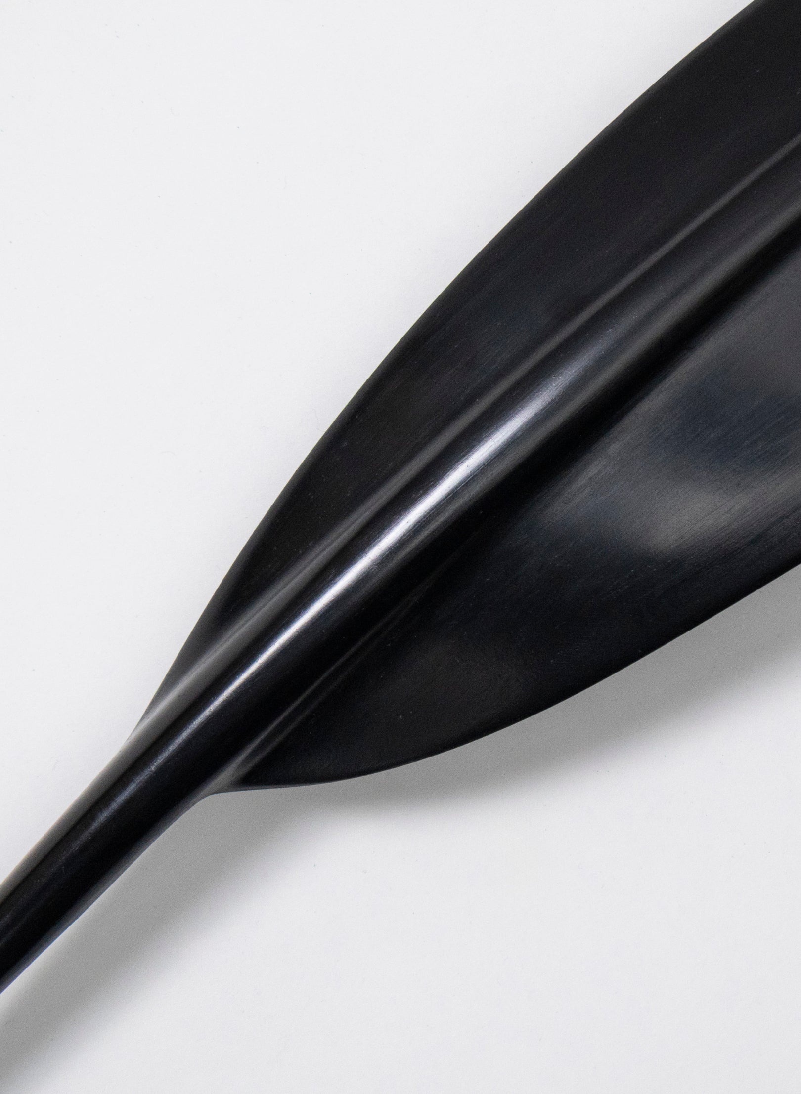 Tūī Feather Swamp Kauri 425mm