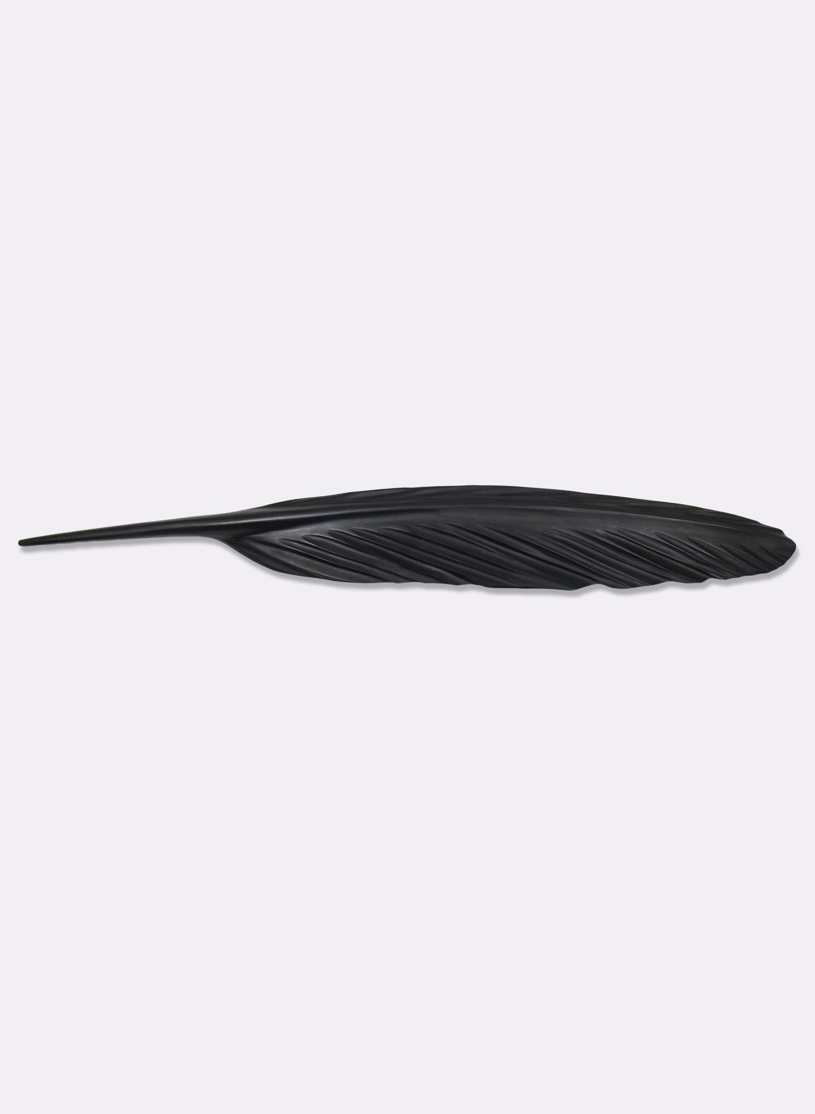 Tūī Feather Swamp Kauri 780mm