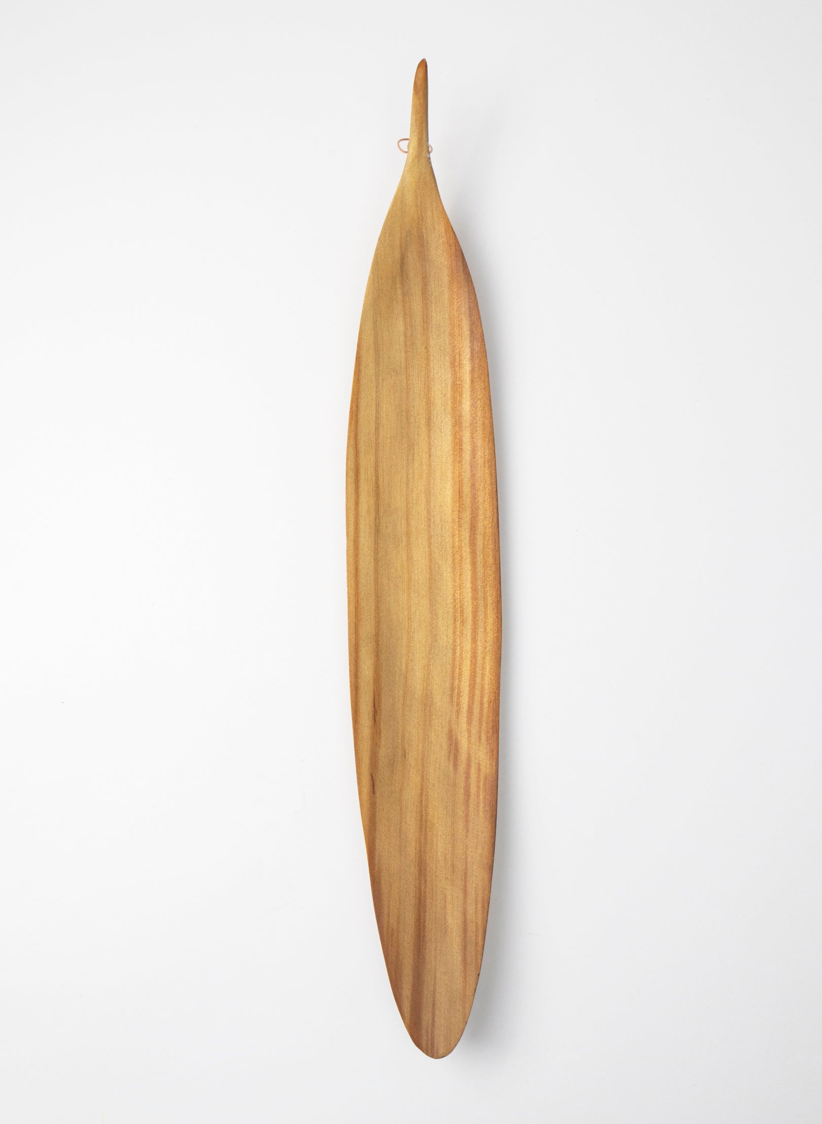 Swamp Kauri Leaf 525mm