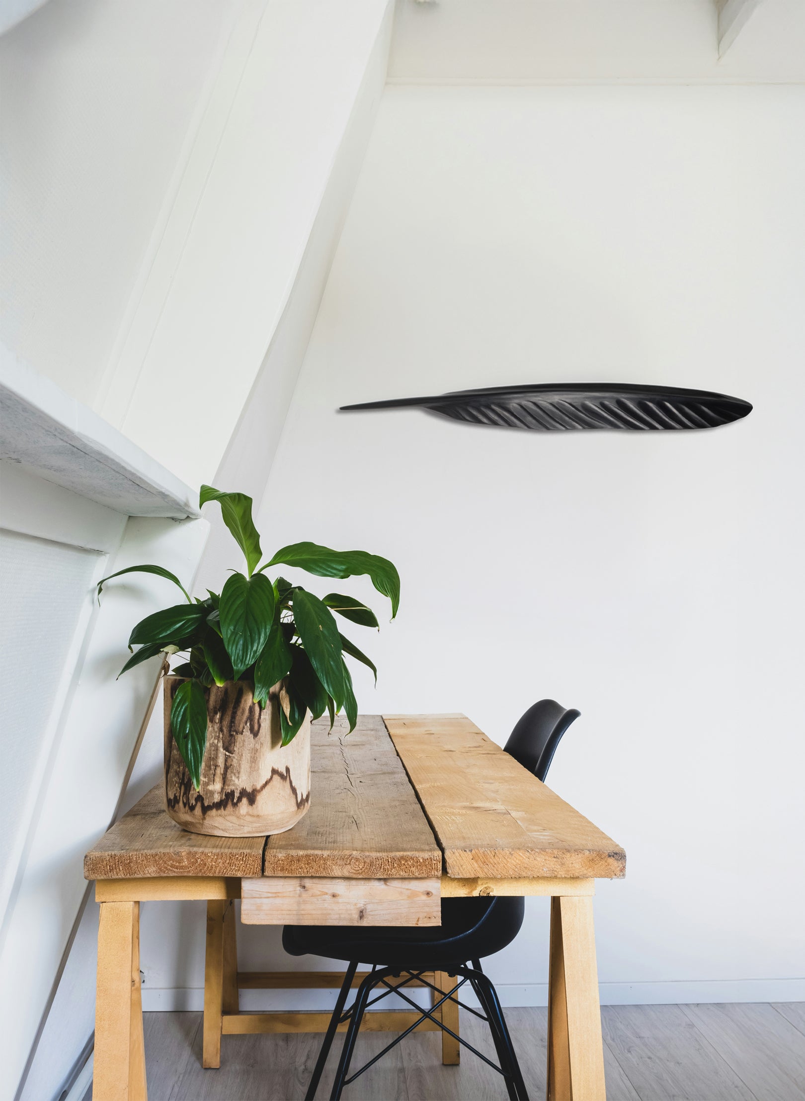 Tūī Feather Swamp Kauri 700mm