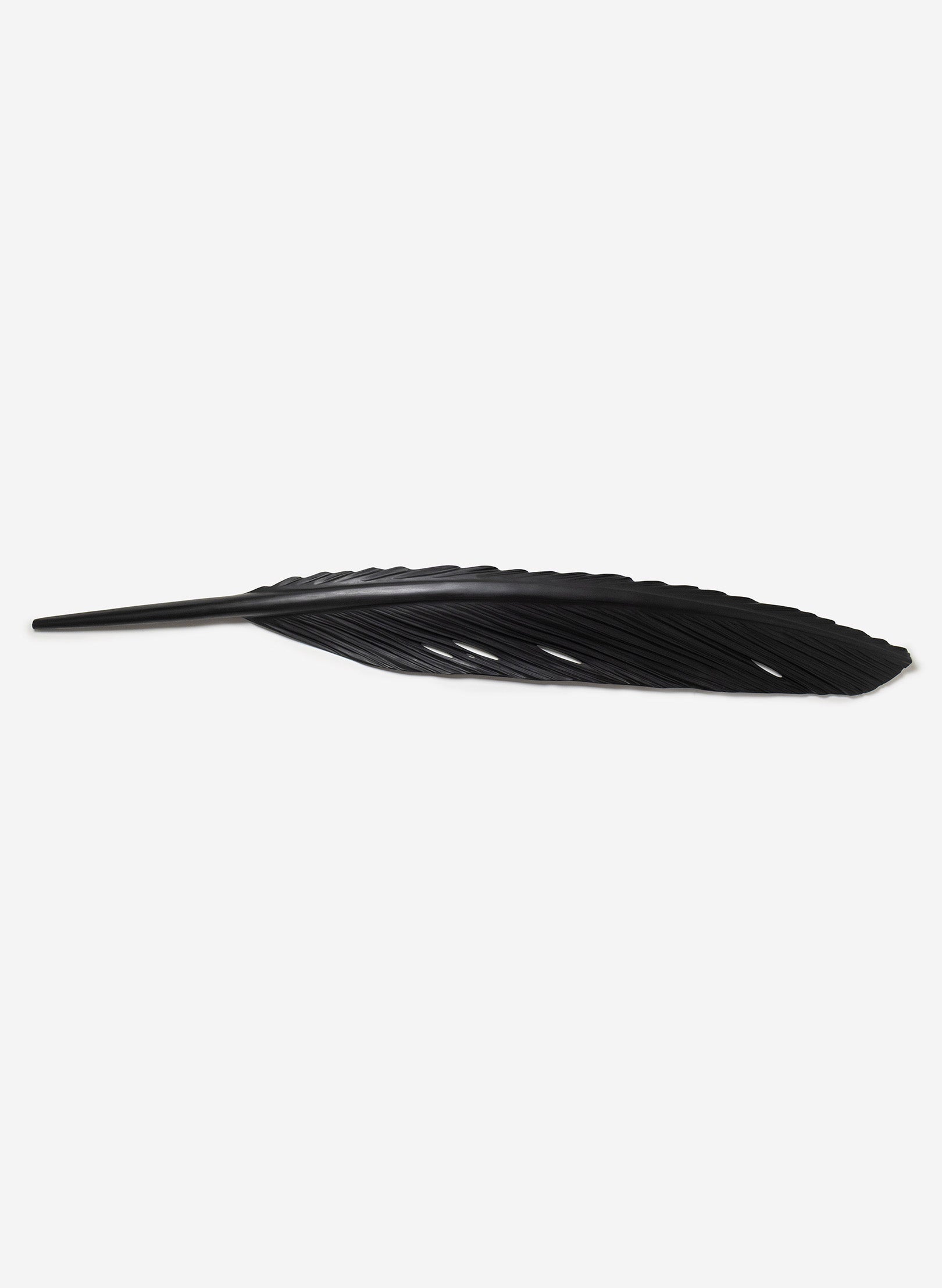 Tūī Swamp Kauri Feather 2500mm