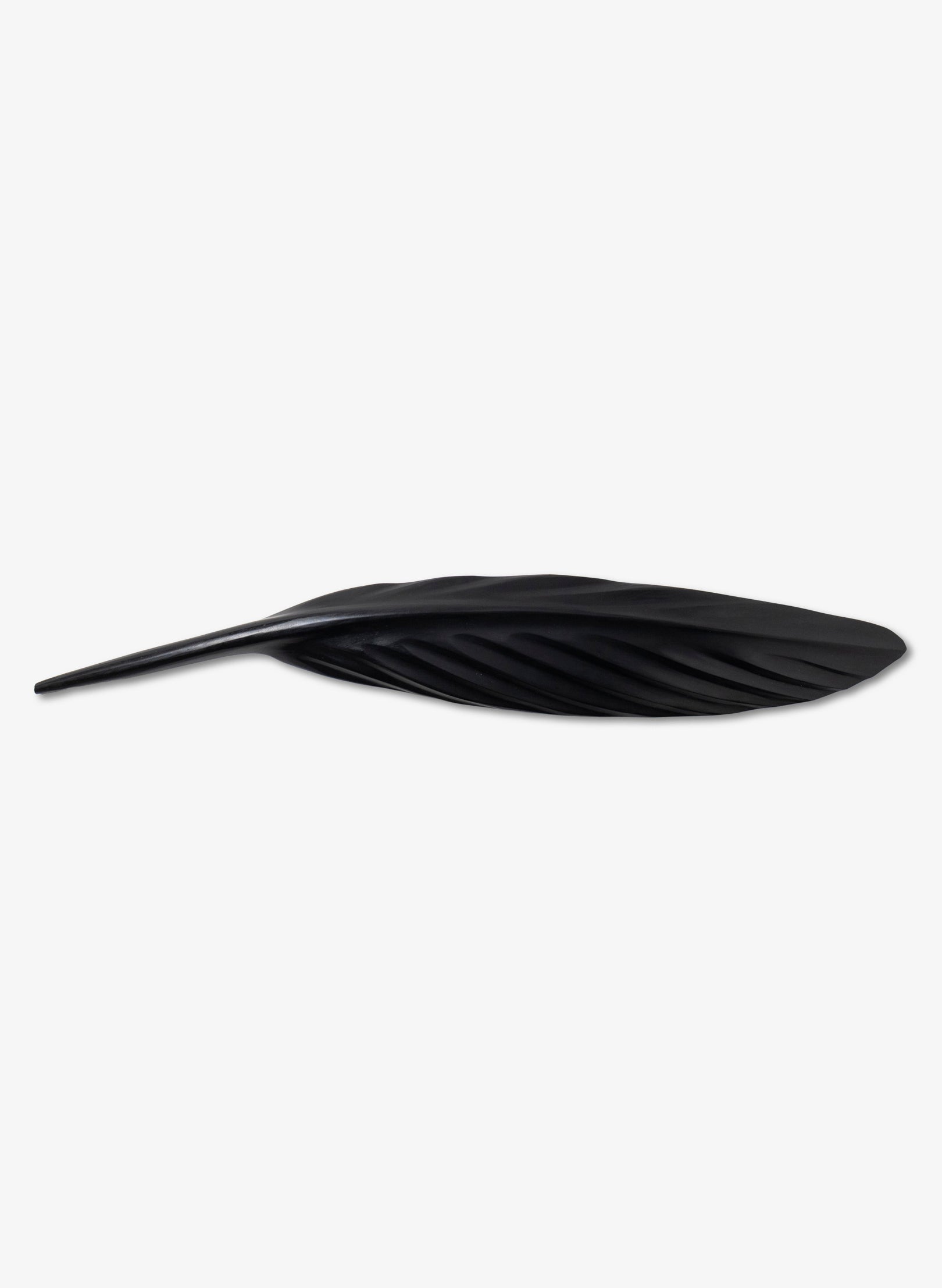 Tūī Swamp Kauri Feather 600mm