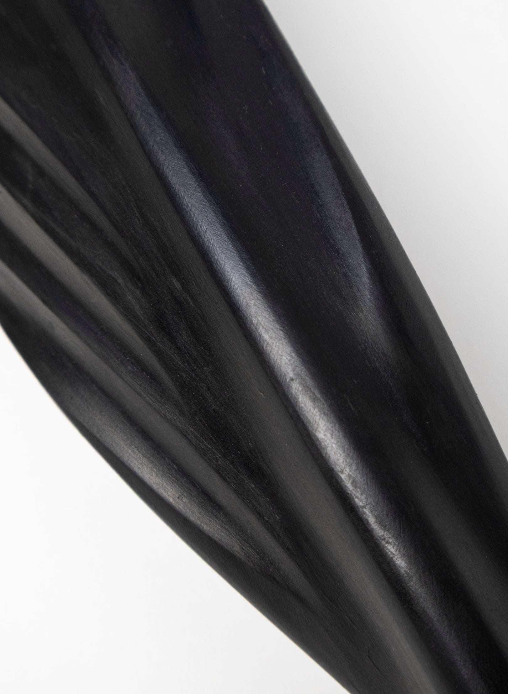 Tūī Swamp Kauri Feather 595mm