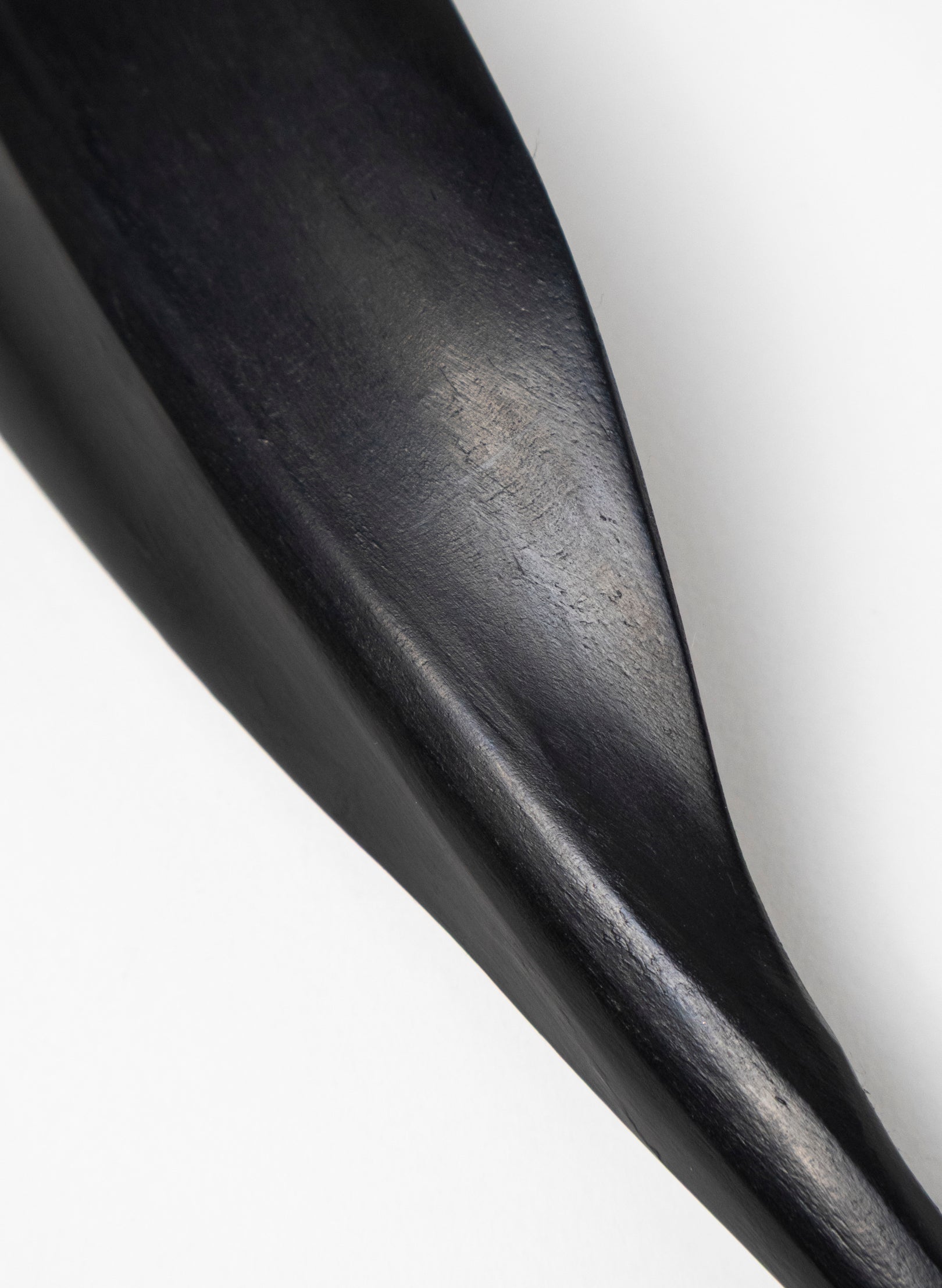 Tūī Swamp Kauri Feather 455mm