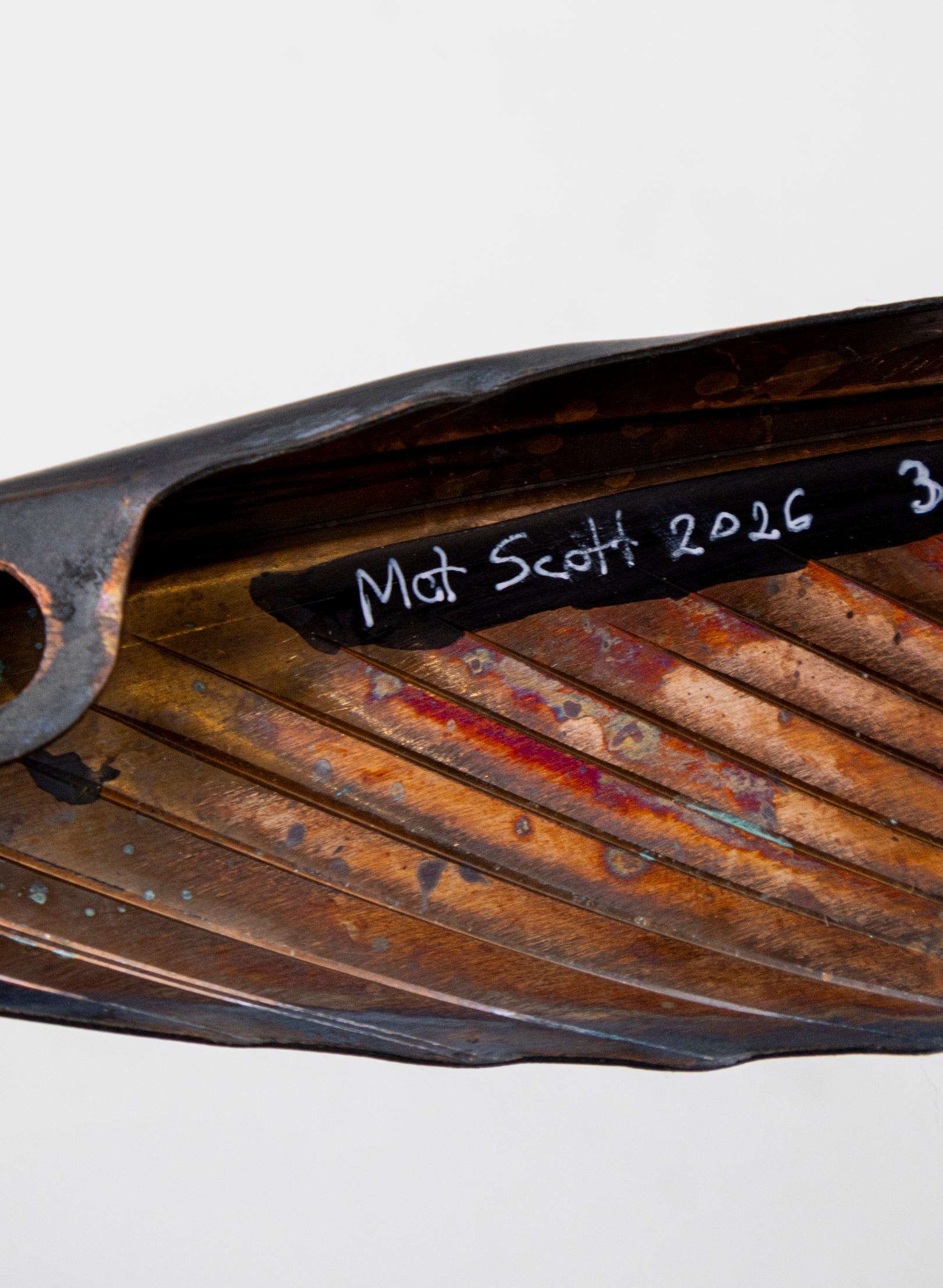 Tūī Copper Feather 395mm