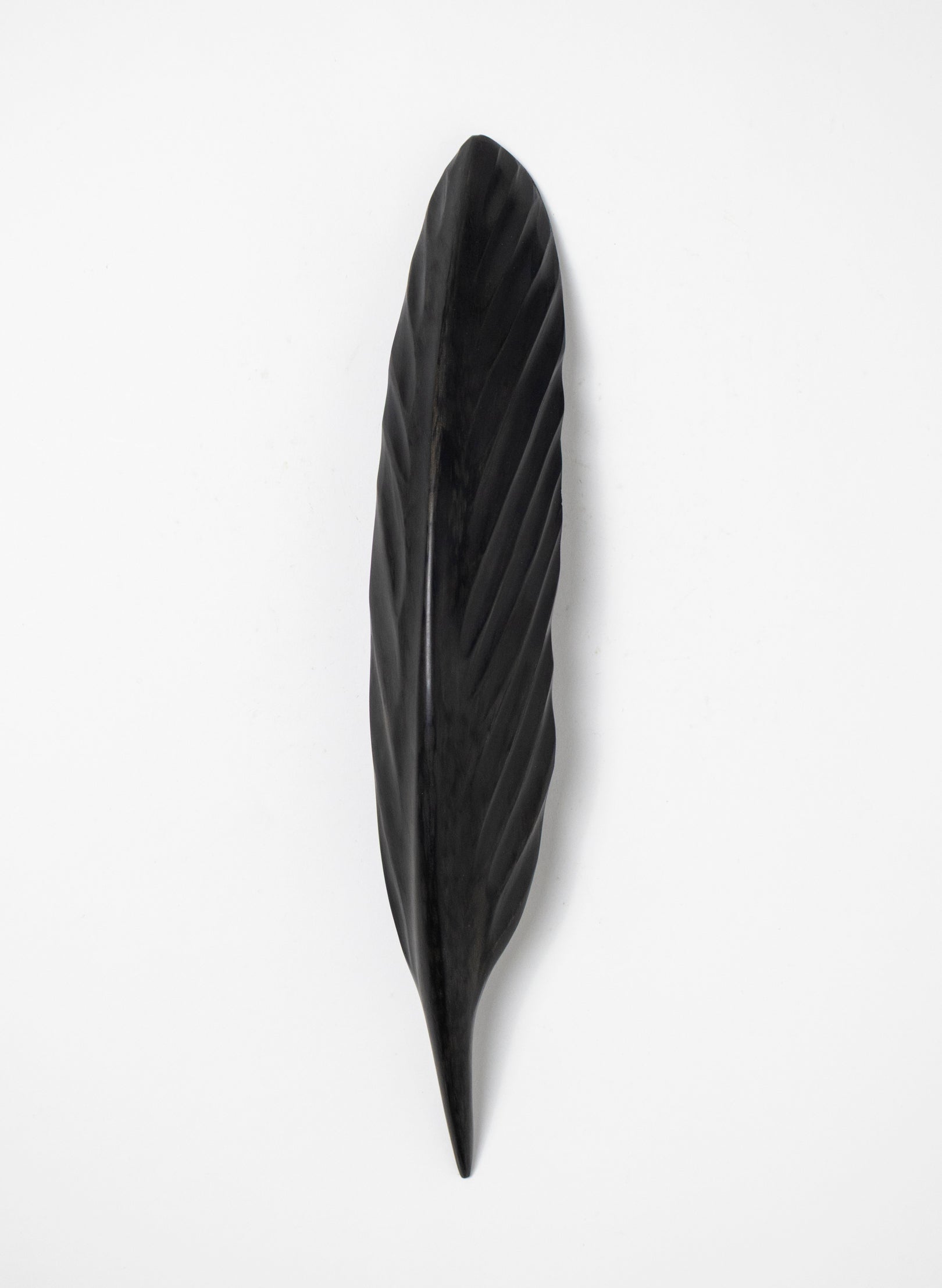 Tūī Swamp Kauri Feather 335mm