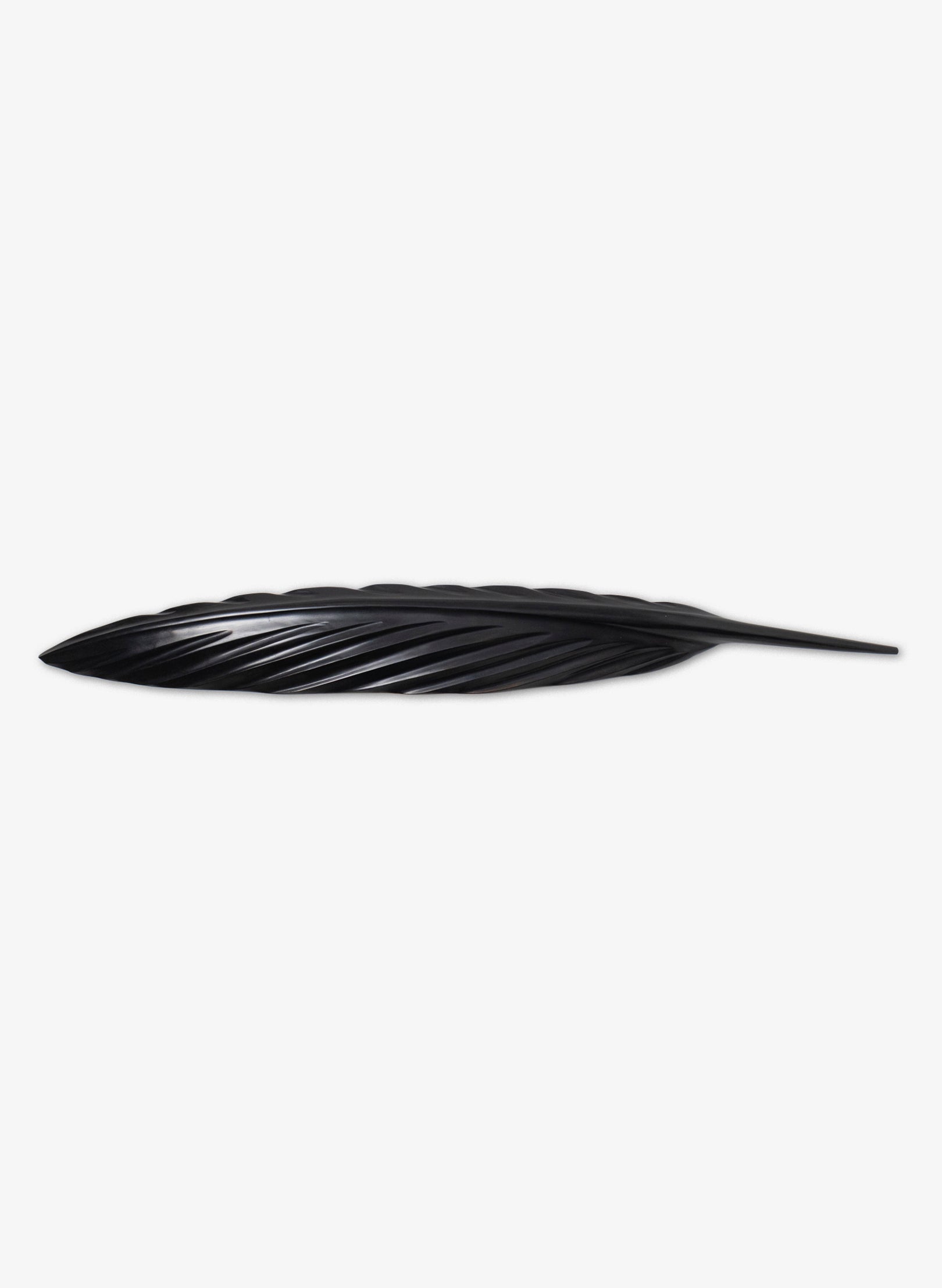 Tūī Mātai Feather 710mm