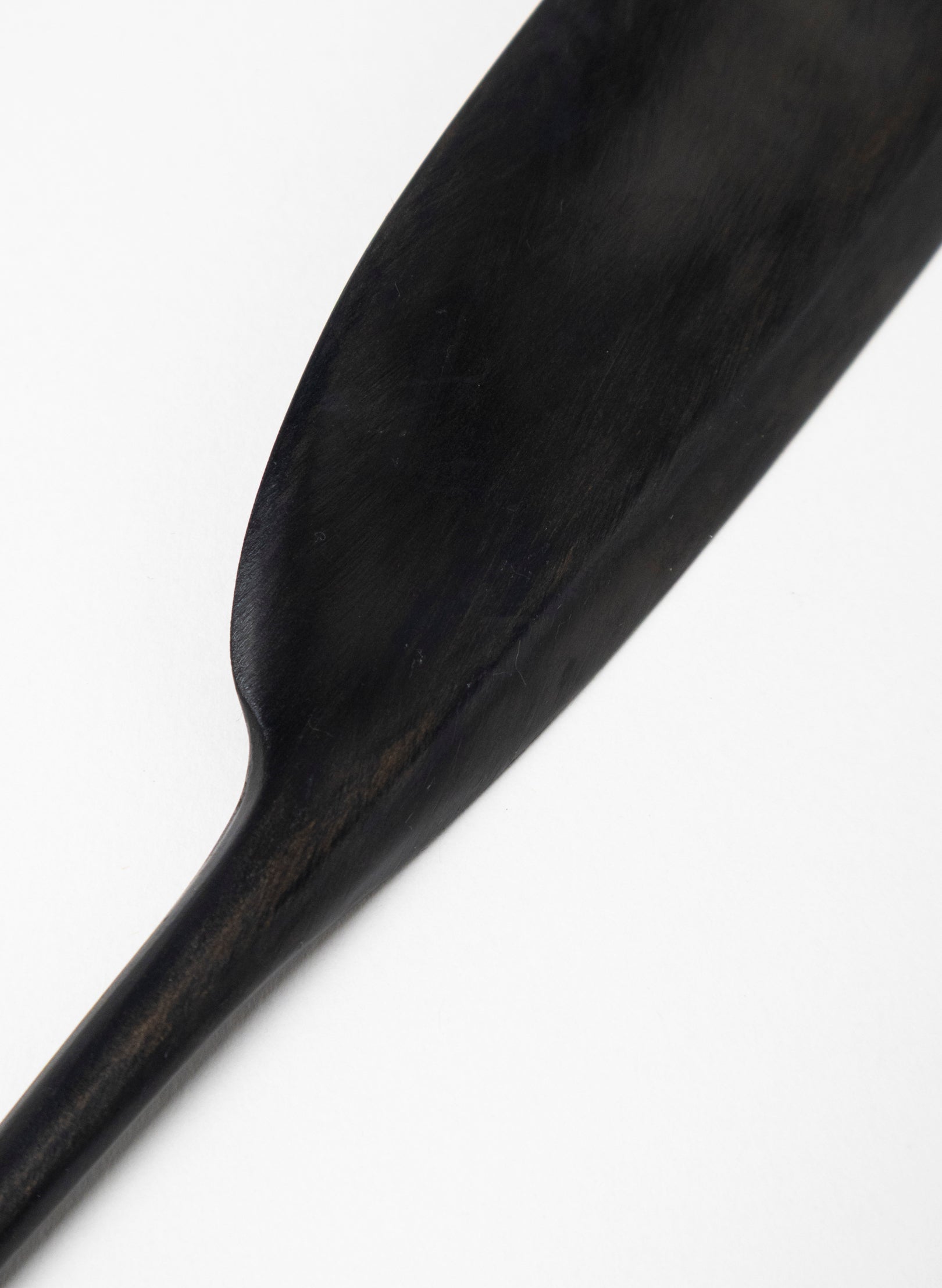 Tūī Swamp Kauri Feather 350mm