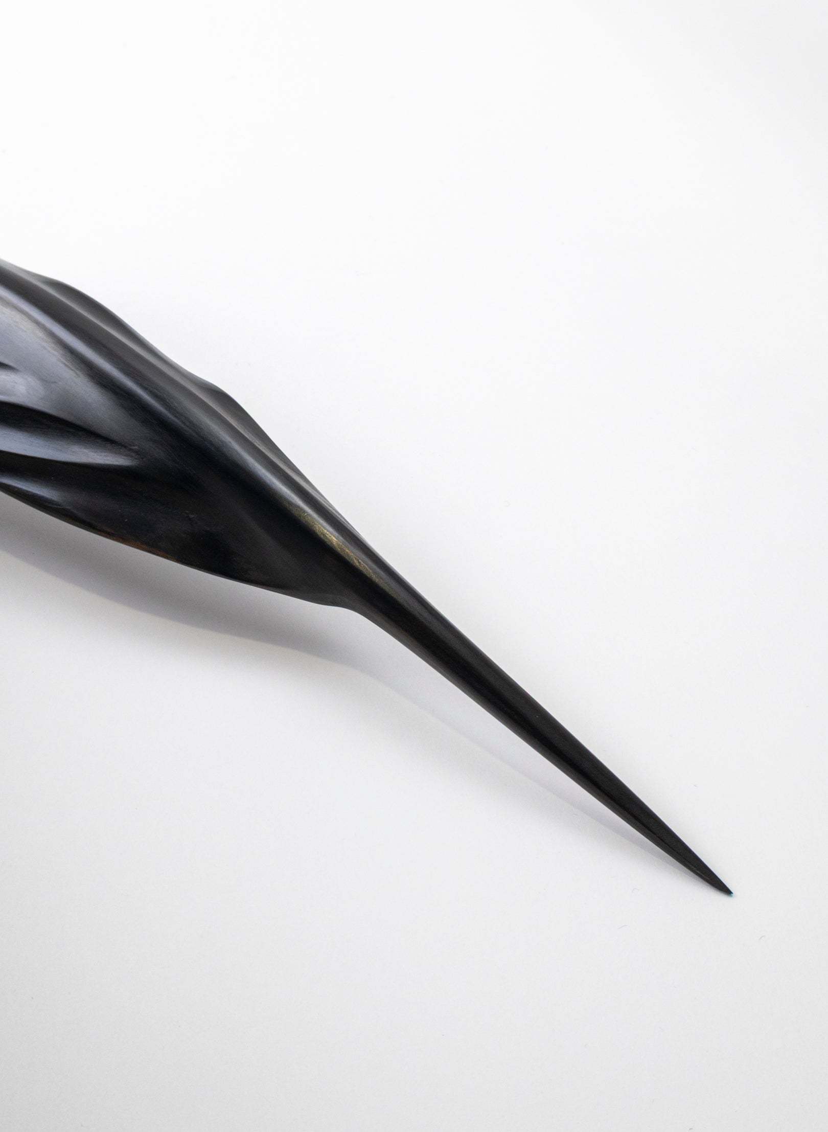 Tūī Swamp Kauri Feather 525mm