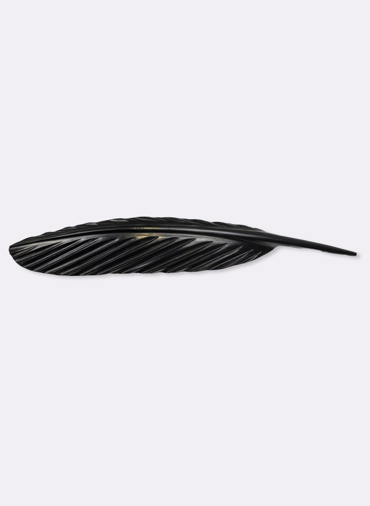 Tūī Swamp Kauri Feather 620mm