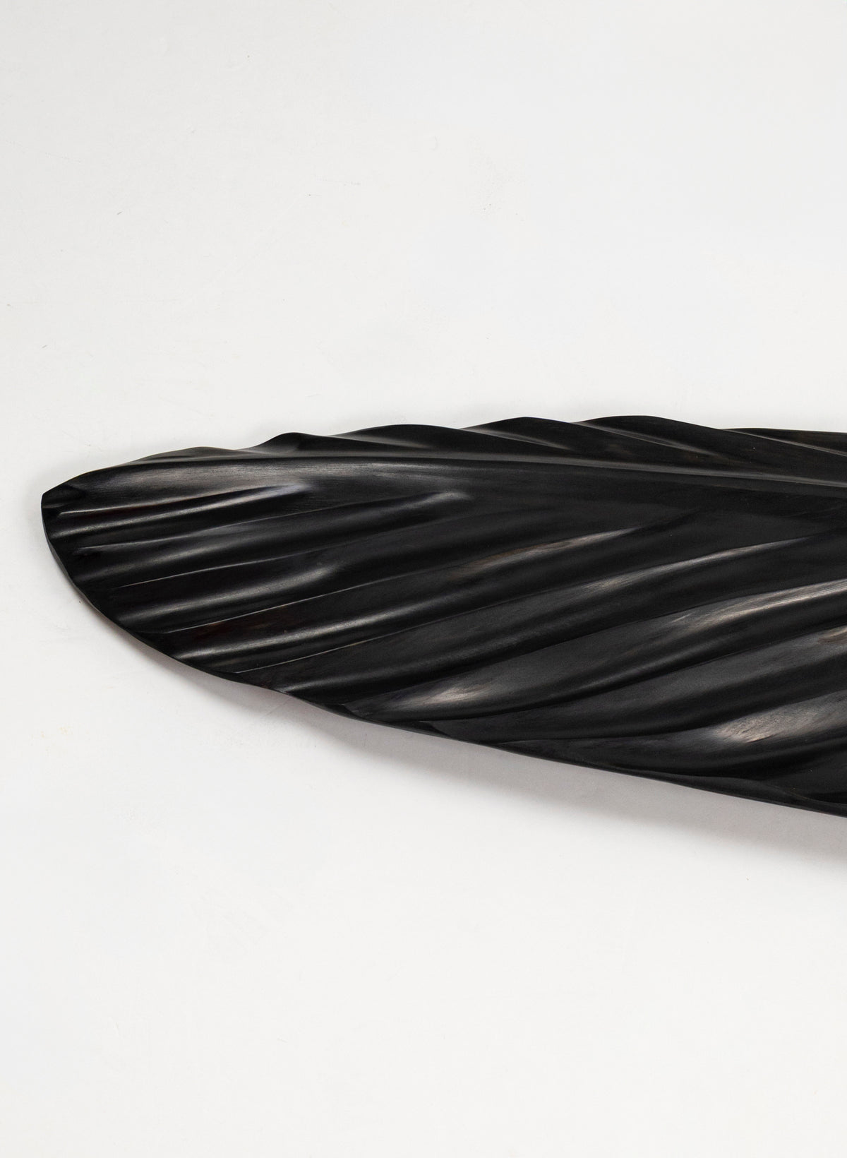 Tūī Swamp Kauri Feather 1.64m