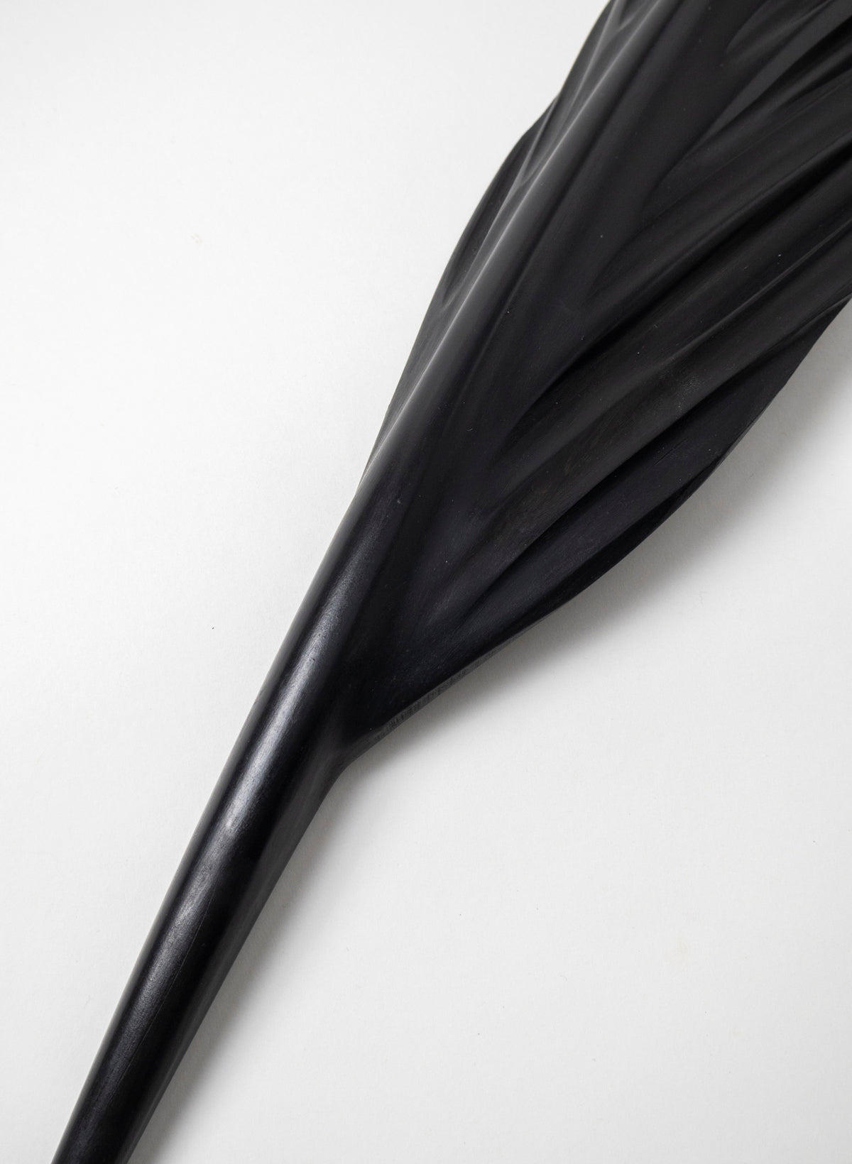 Tūī Swamp Kauri Feather 650mm
