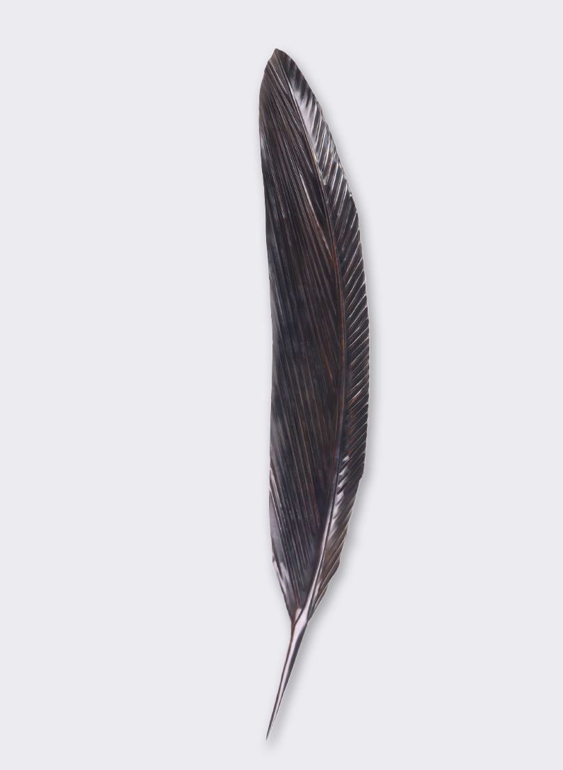 Tui Copper Feather 840mm
