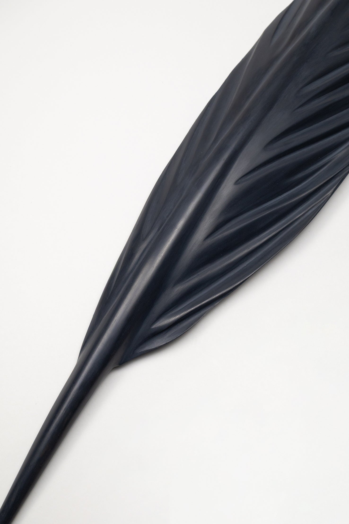 Kereru Feather Swamp Kauri 695mm