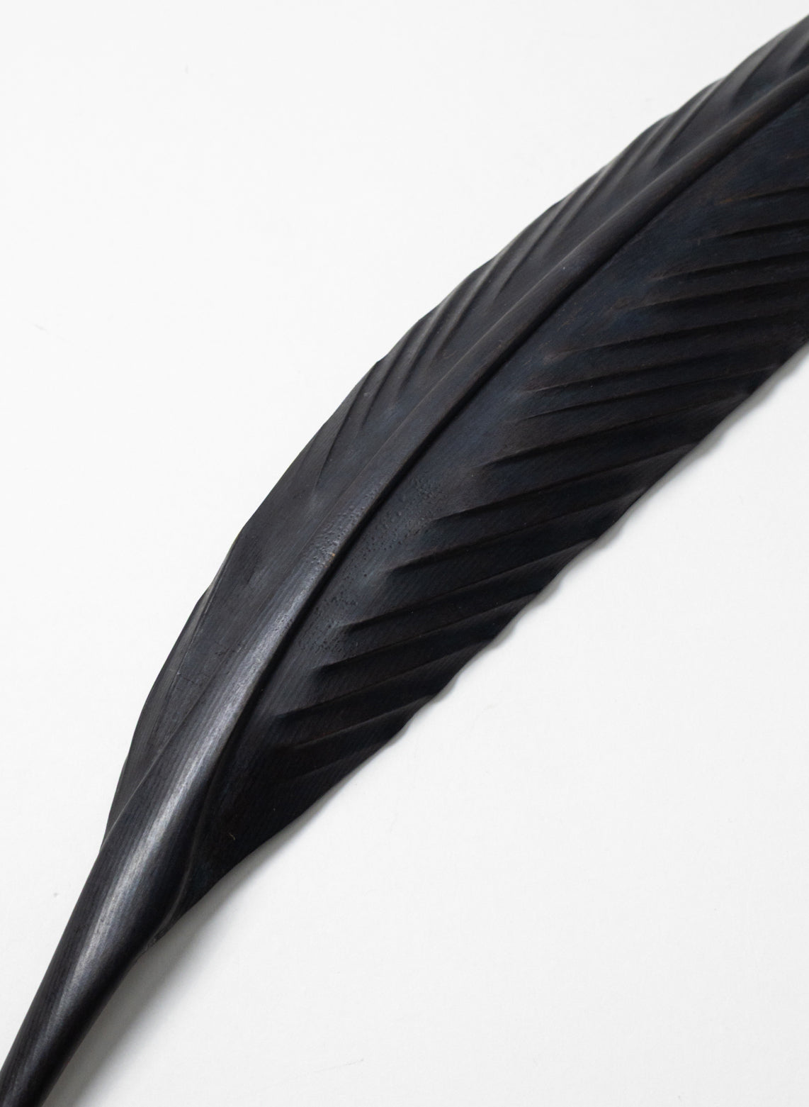 Tūī Copper Feather 350mm