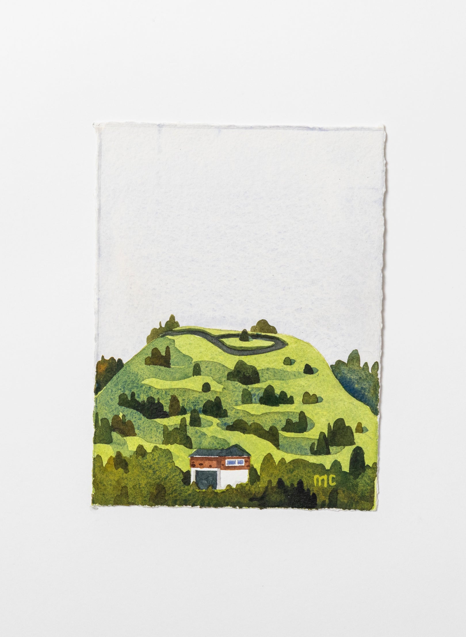 Mount Roskill / Puketāpapa I