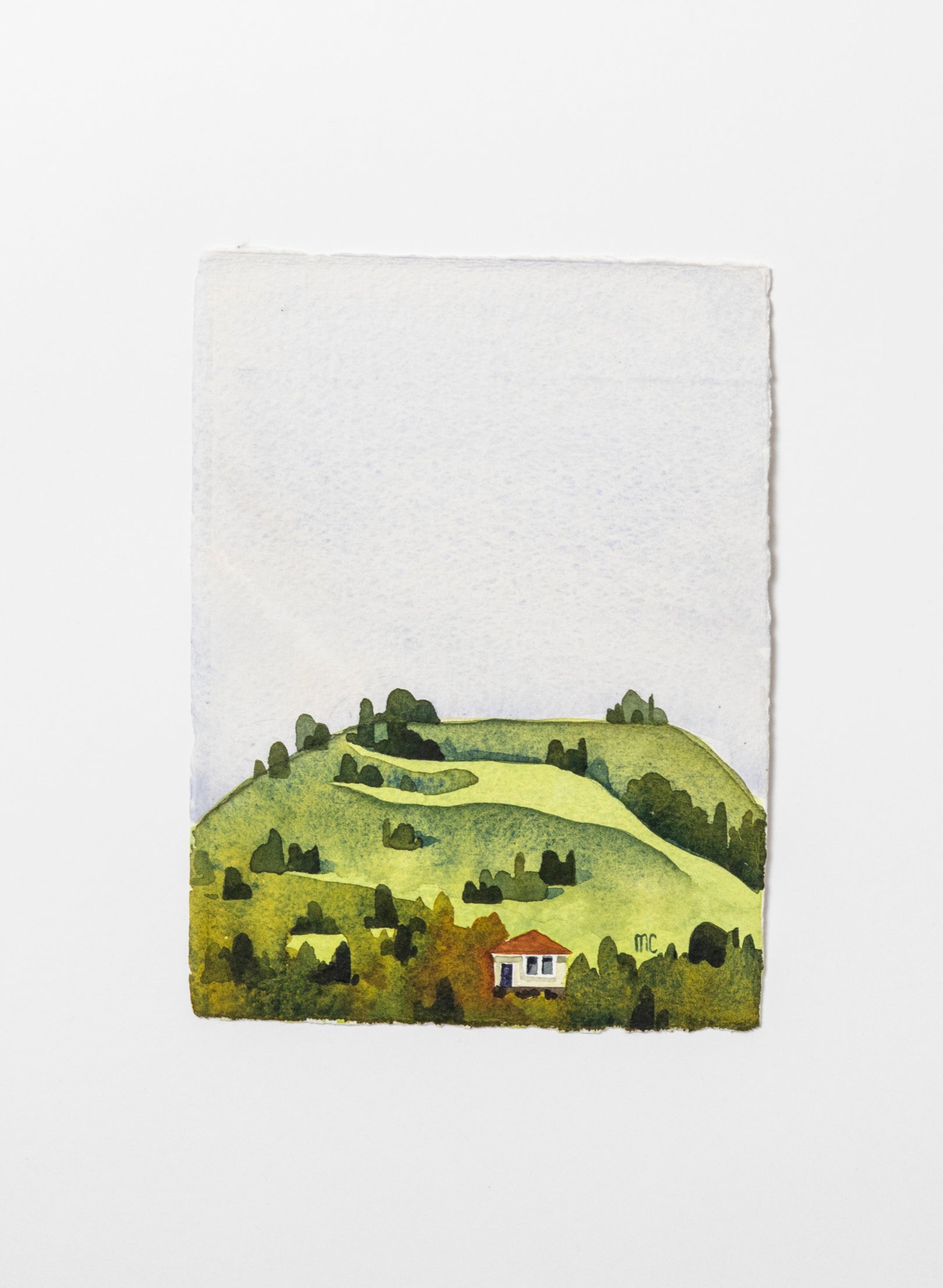 Mount Hobson / Ōhinerau I Framed