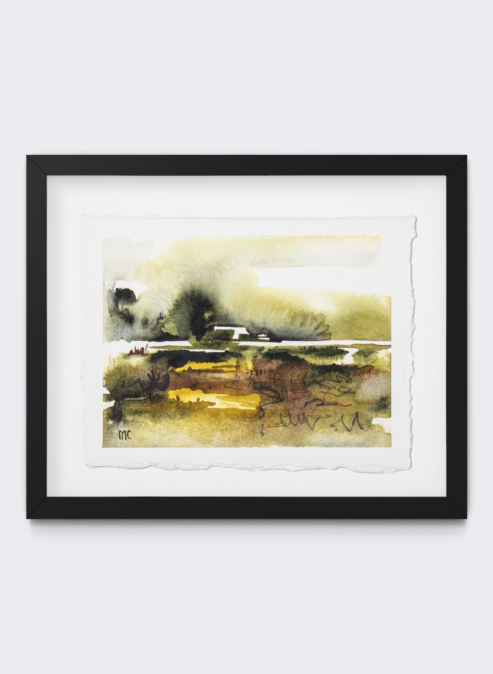 Mangrove Study