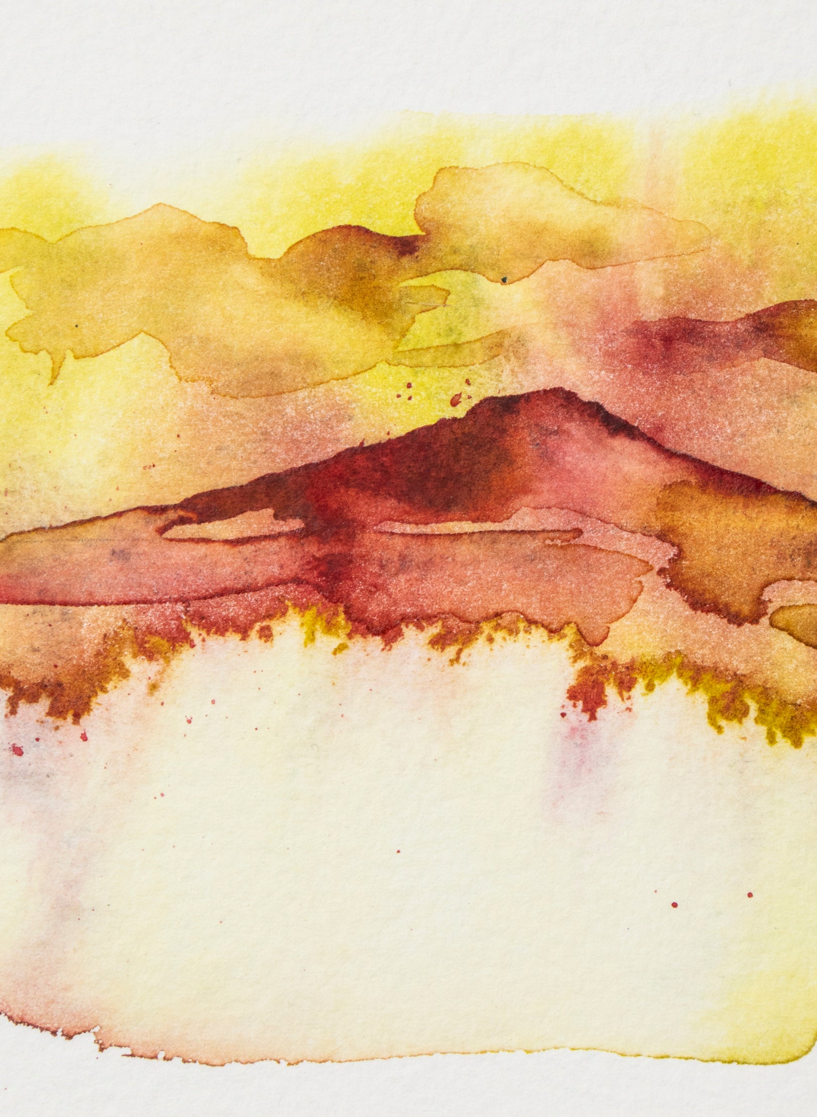 Rangitoto Light I