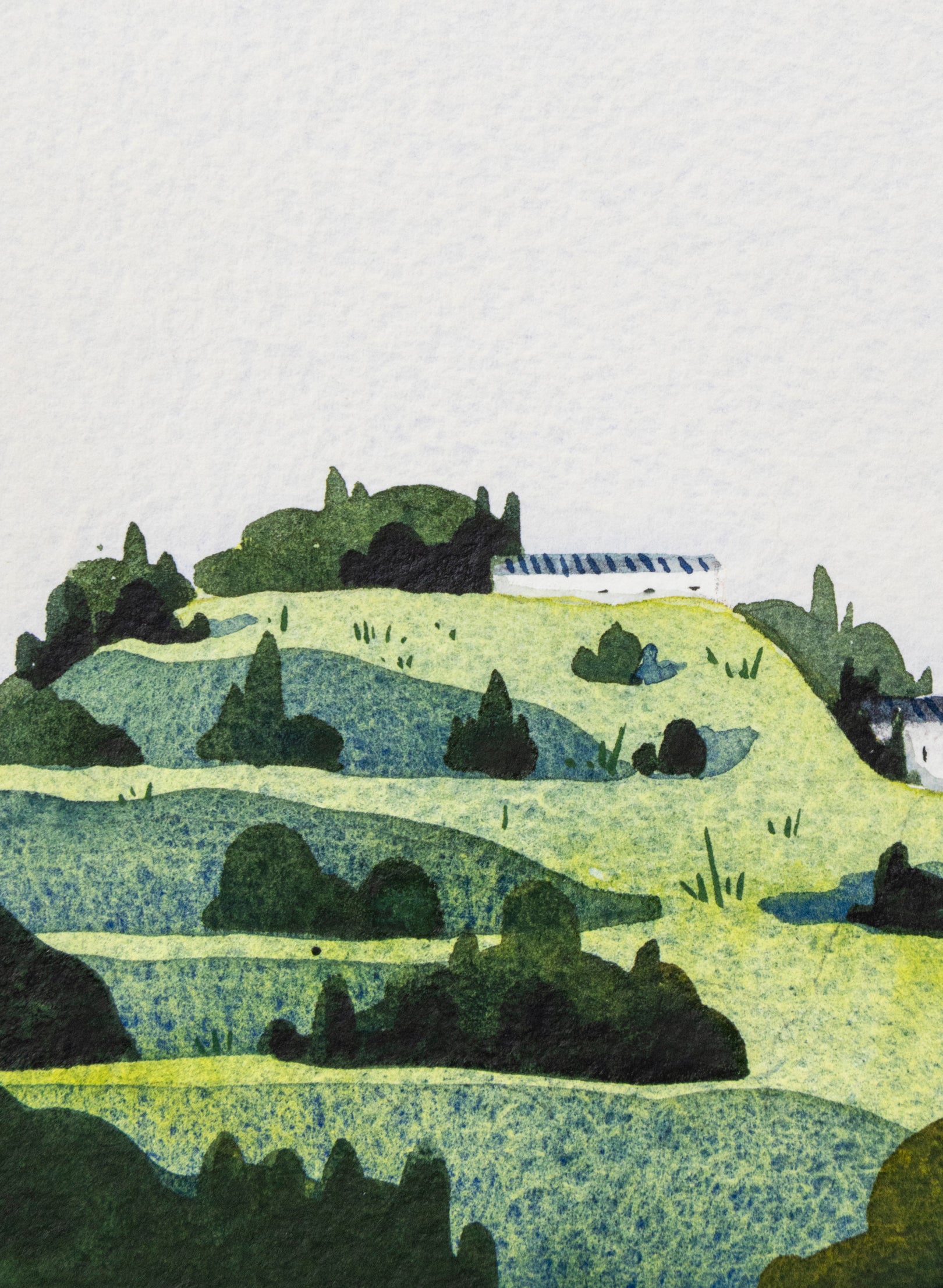 North Head / Maungauika I