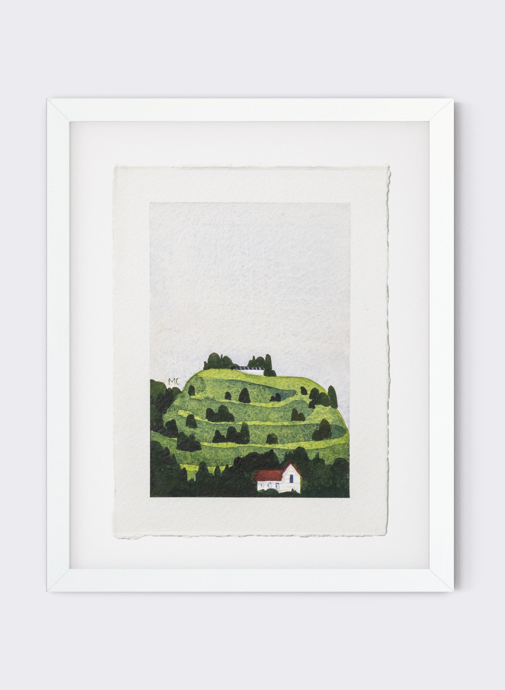 Mount Eden / Maungawhau I