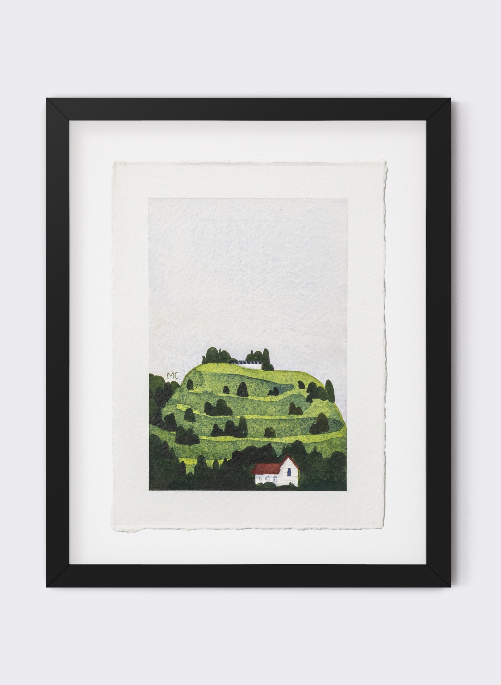 Mount Eden / Maungawhau I