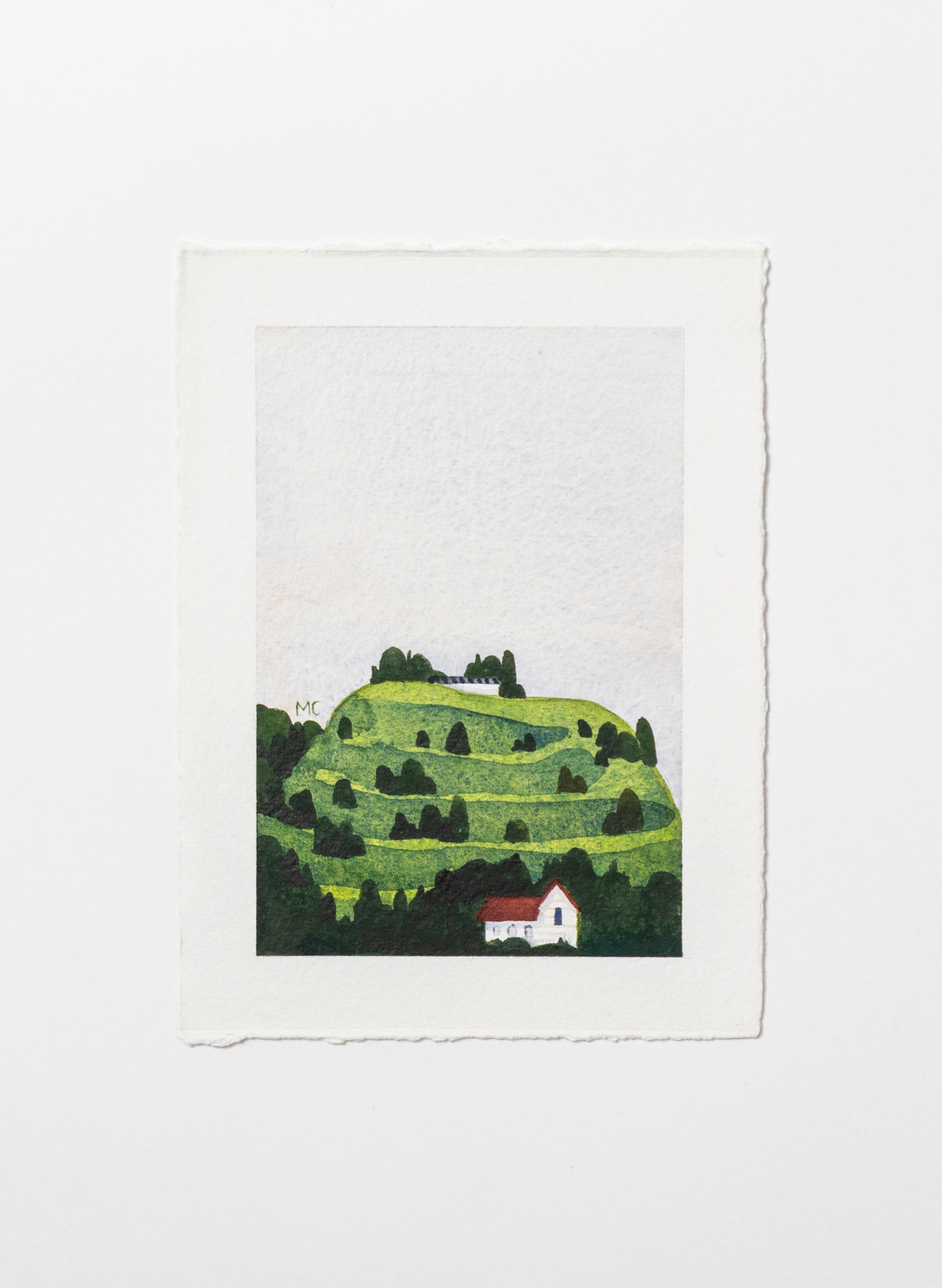 Mount Eden / Maungawhau I
