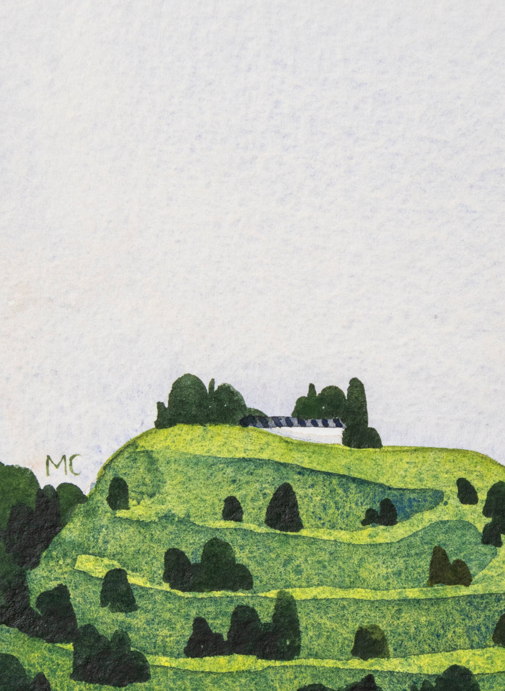Mount Eden / Maungawhau I
