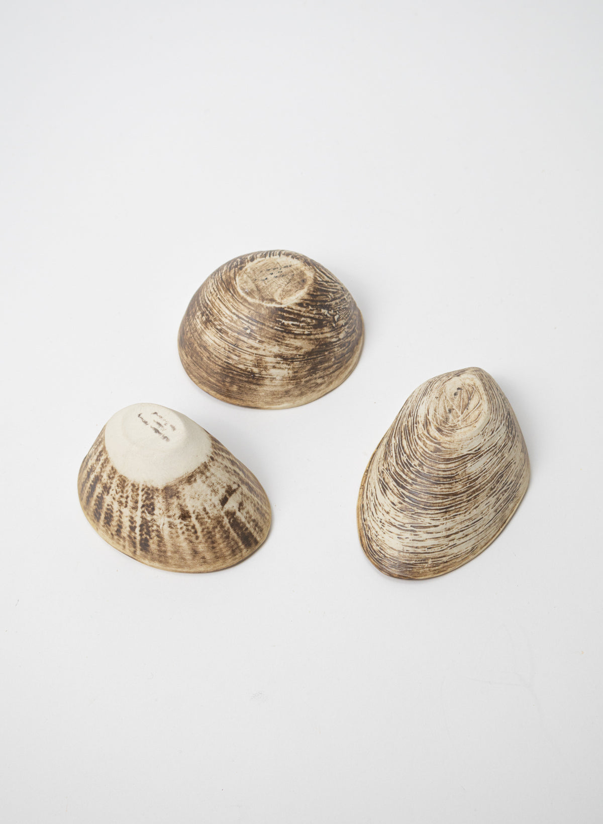Boxed Set of 3 Shell Dipping Bowls - Natural