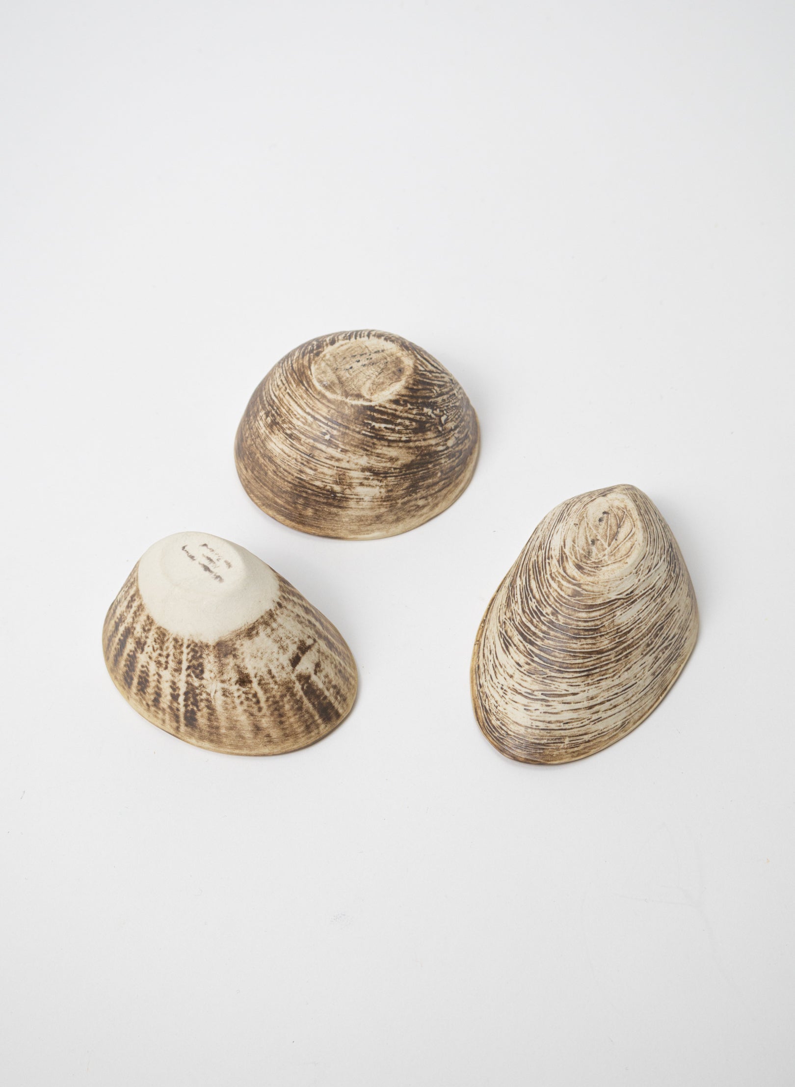 Boxed Set of 3 Shell Dipping Bowls - Green