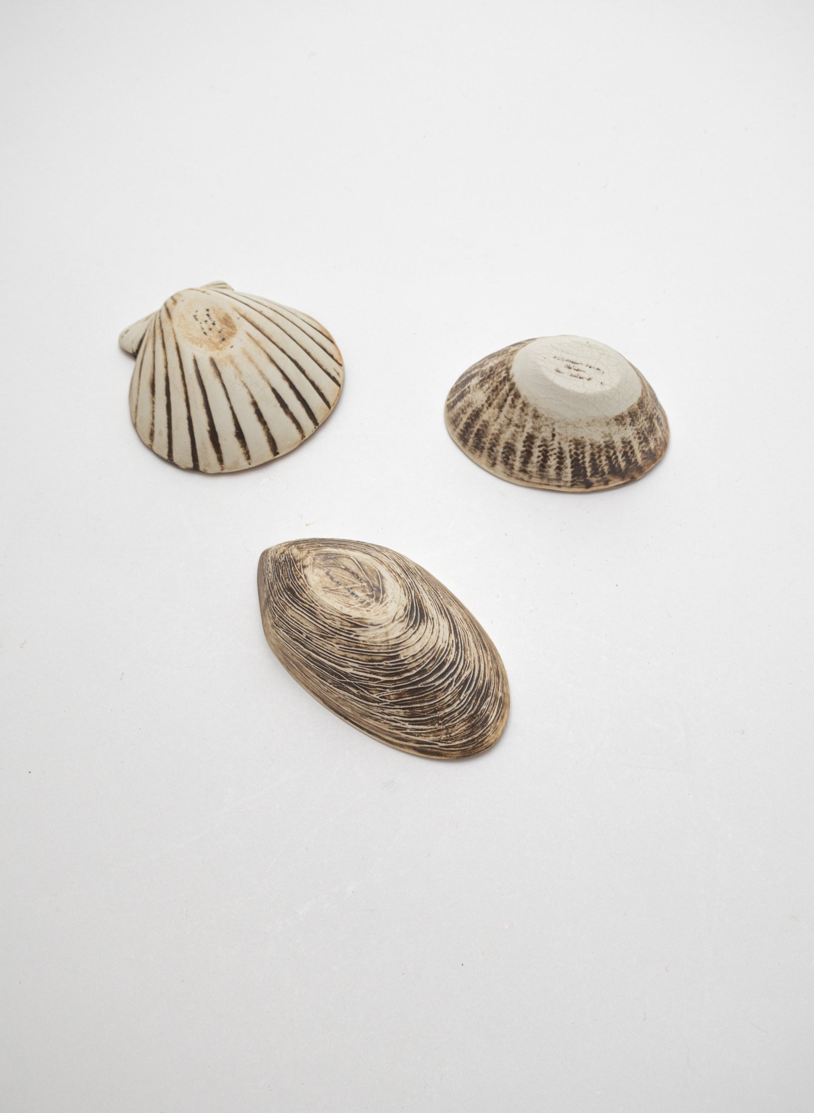 Boxed Set of 3 Shell Dipping Bowls - Green