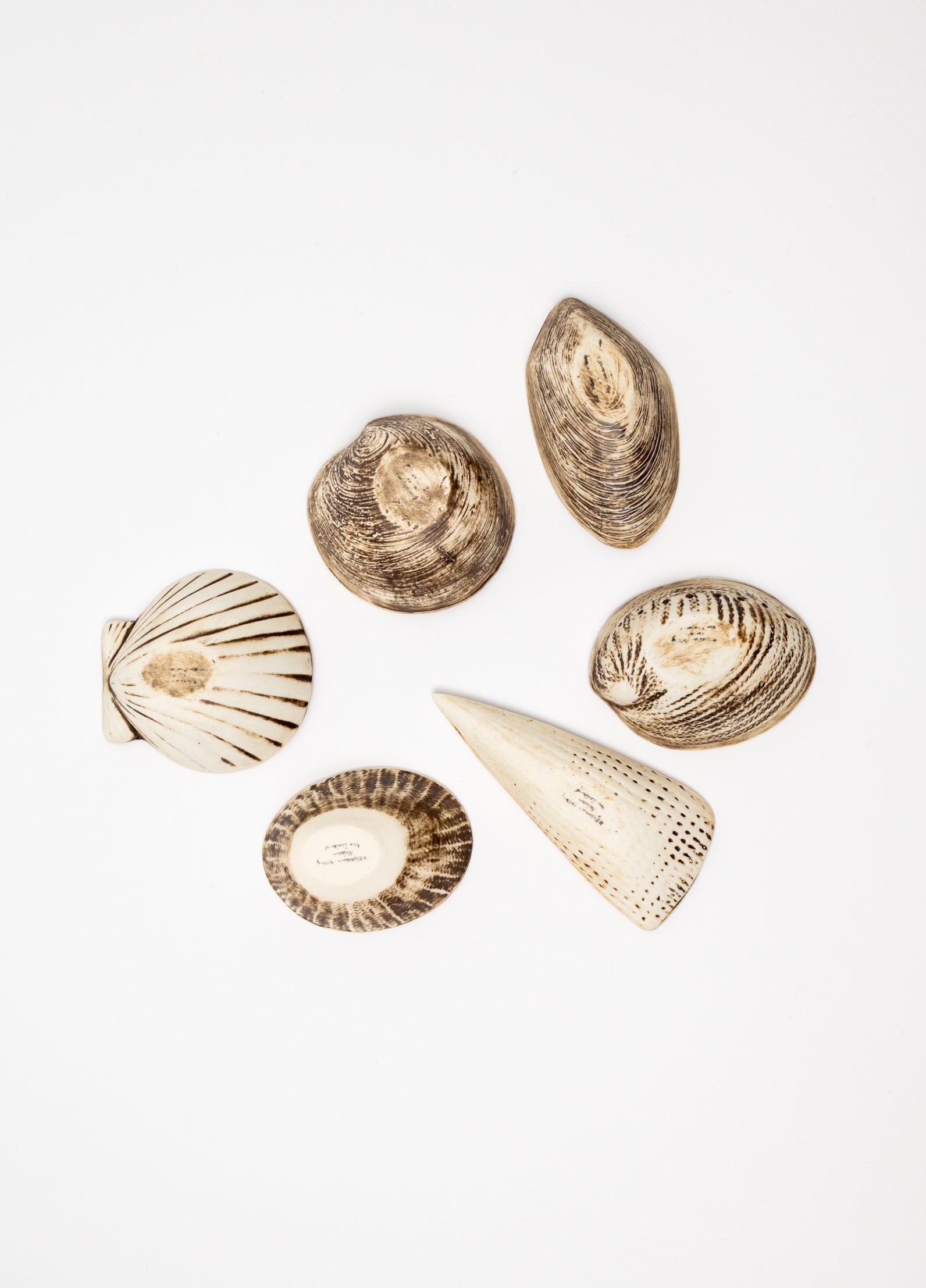 Boxed Set of 6 Shell Dipping Bowls - Natural