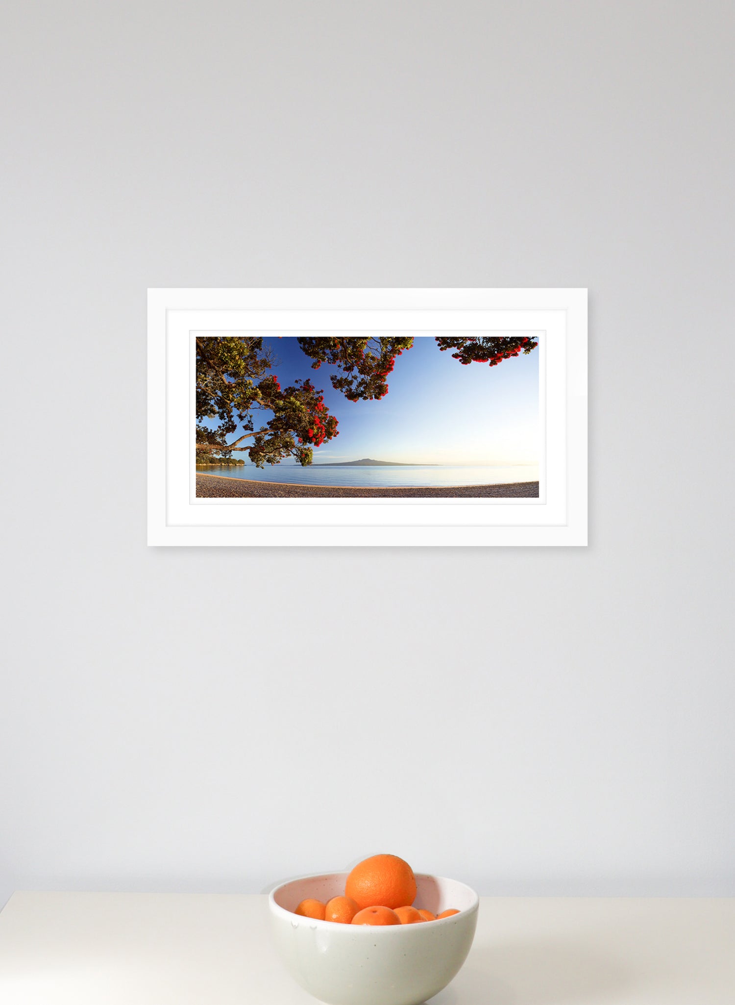 Morning Glory - Photographic Print