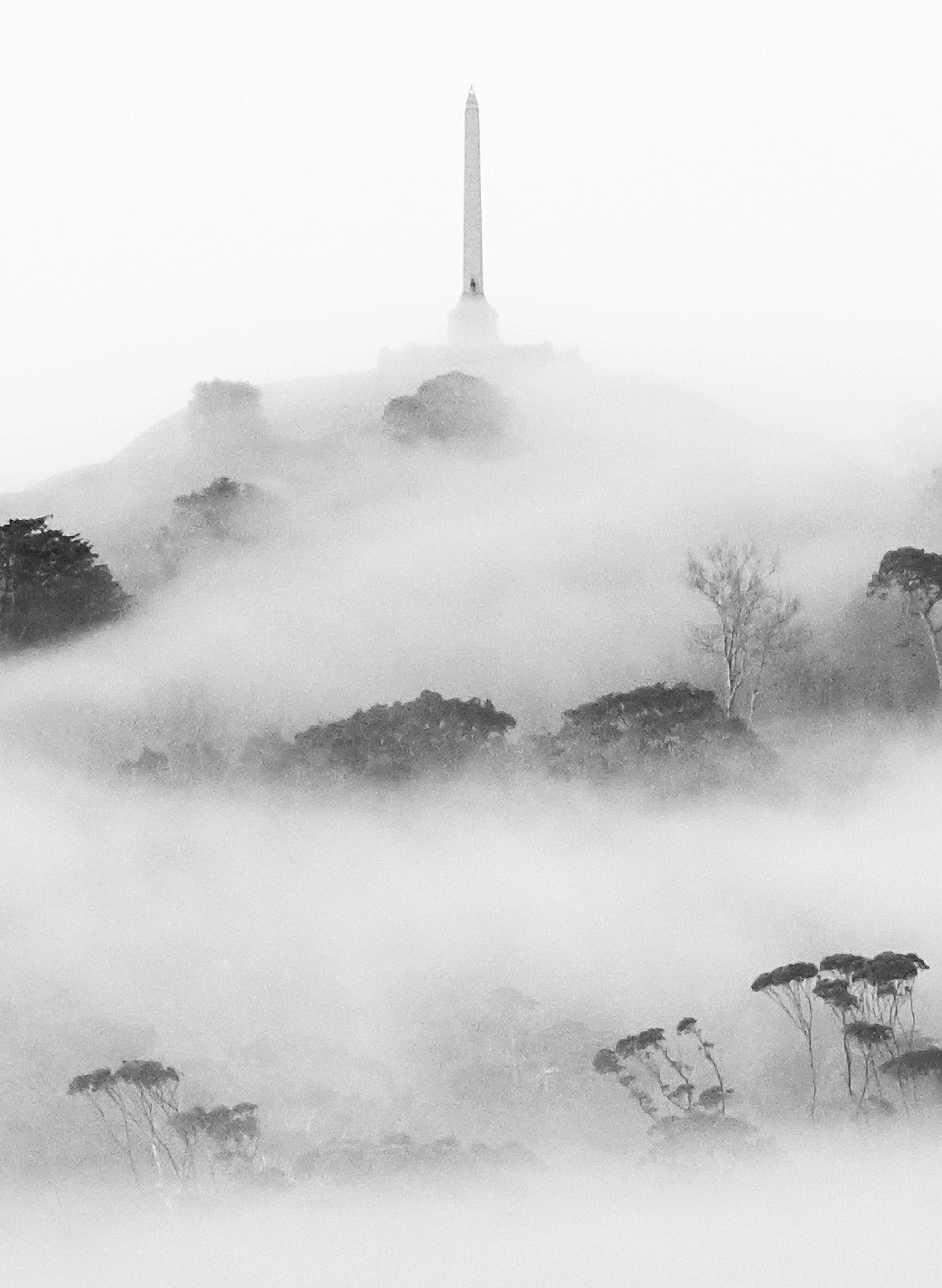 Morning Mist - Photographic Print