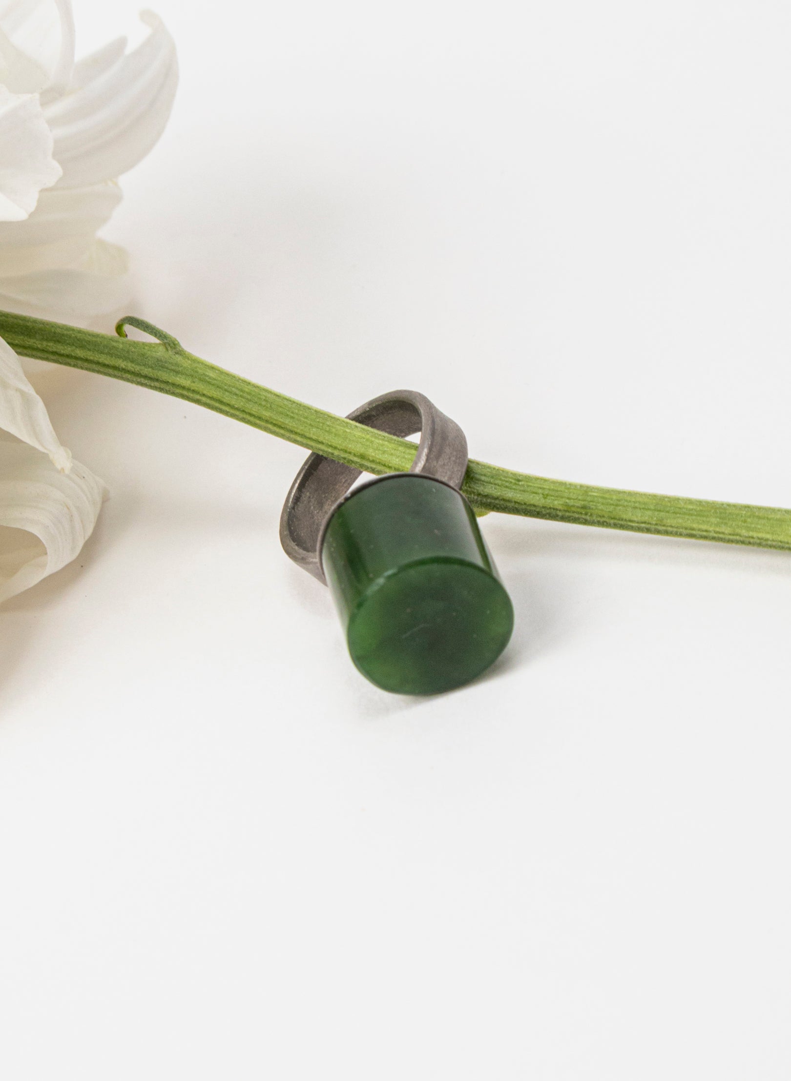 Circle Pounamu Titanium Ring